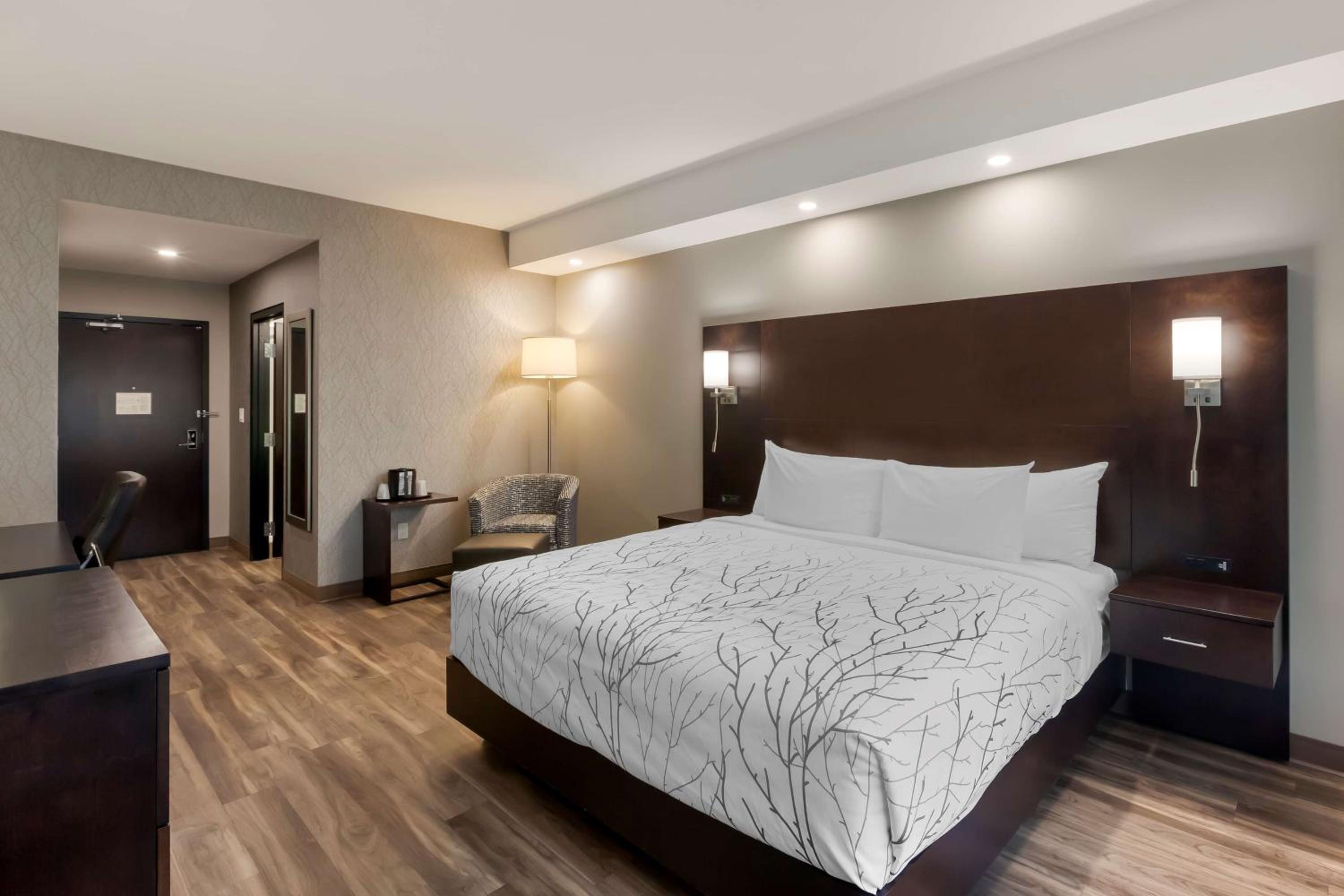 King Room - Non-Smoking - Photo 1