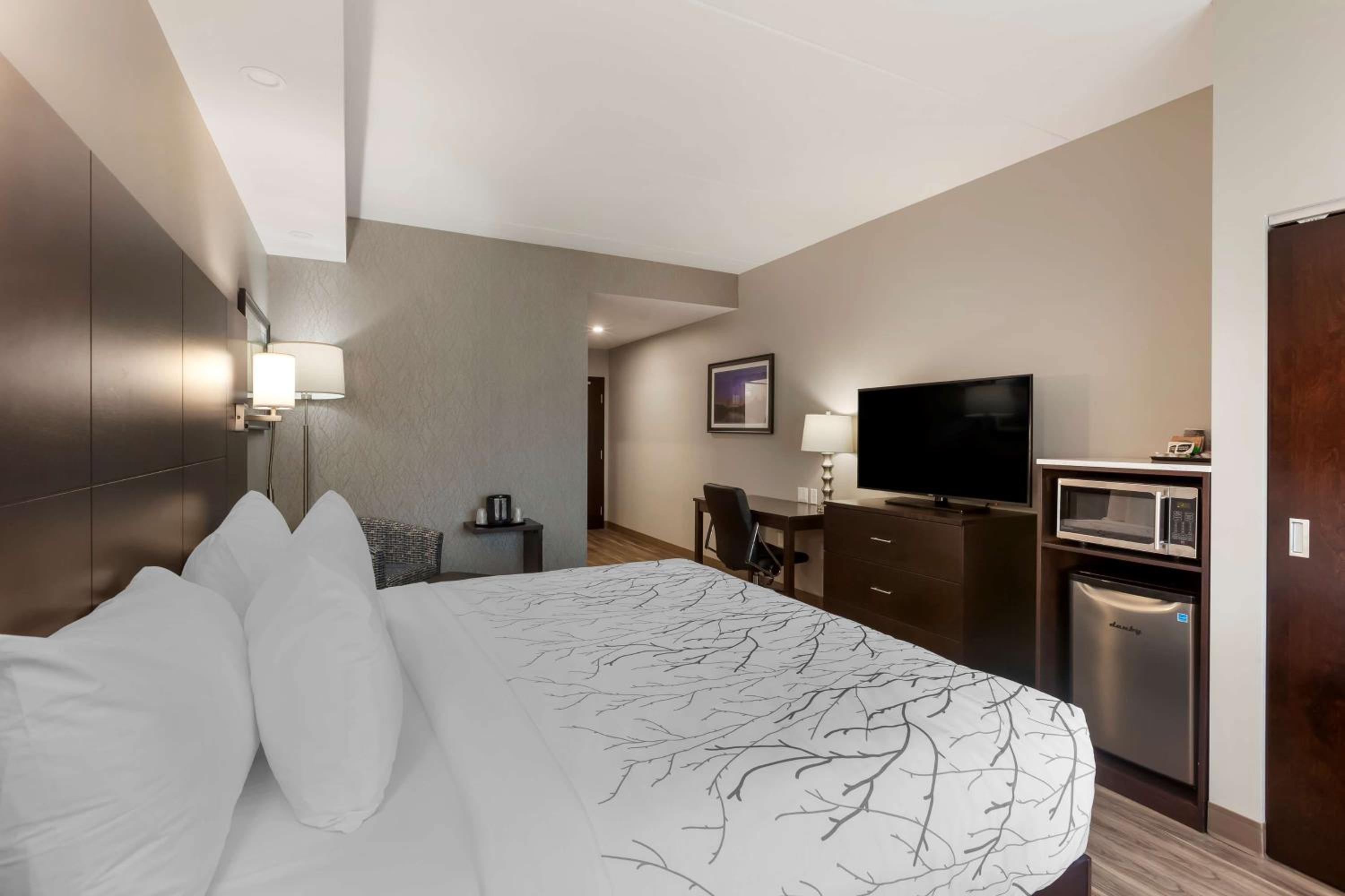 King Room - Disability Access - Photo 6