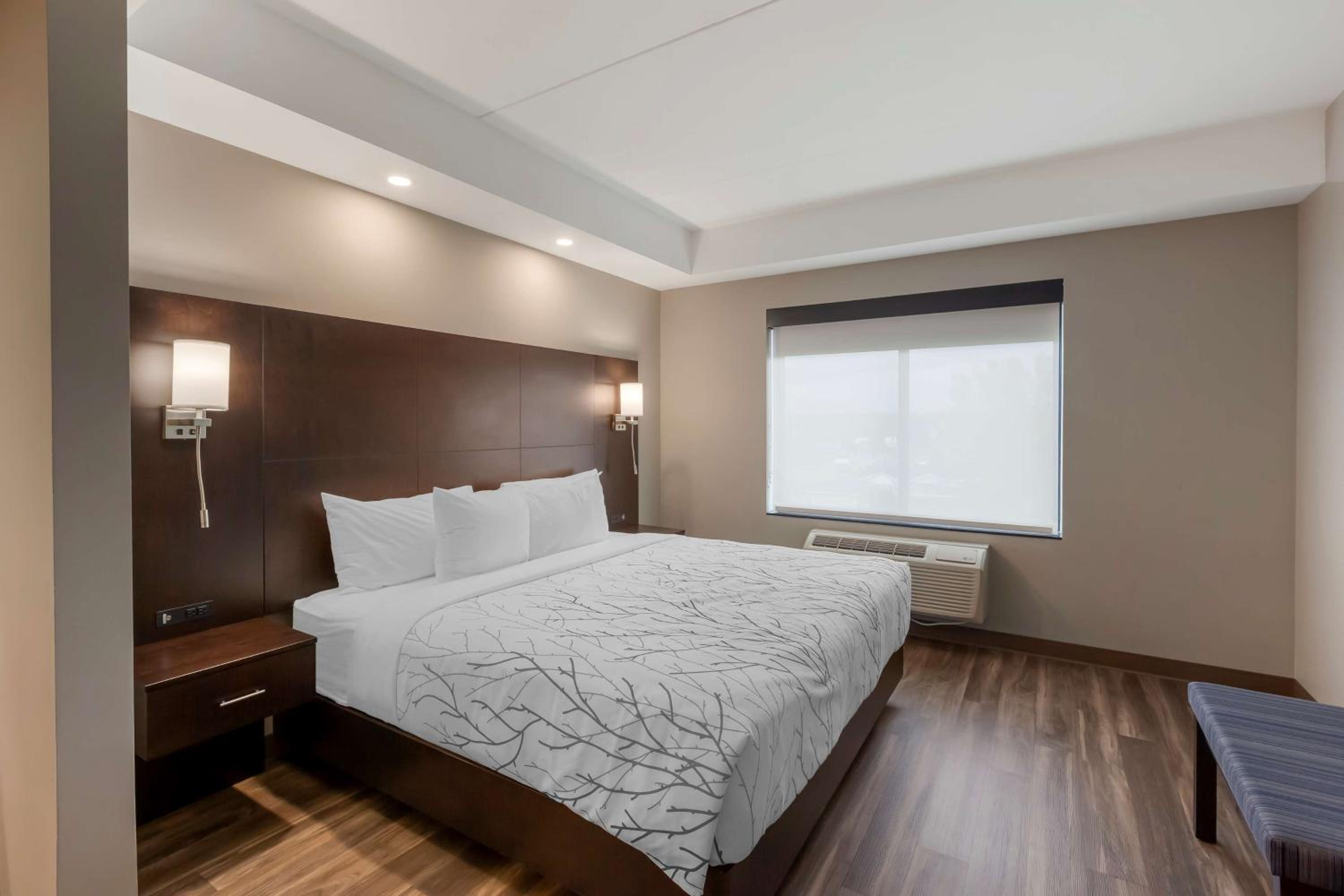 King Suite - Non-Smoking - Photo 6