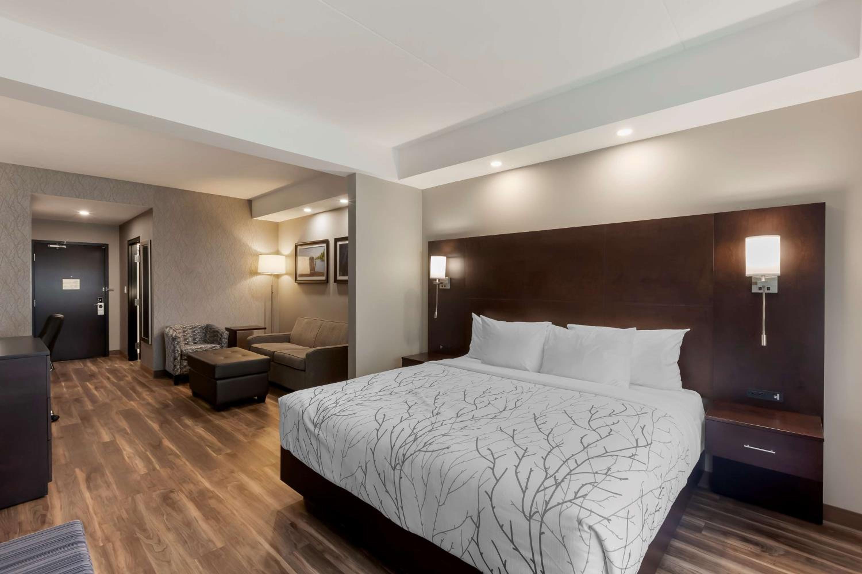 King Suite - Non-Smoking - Photo 1