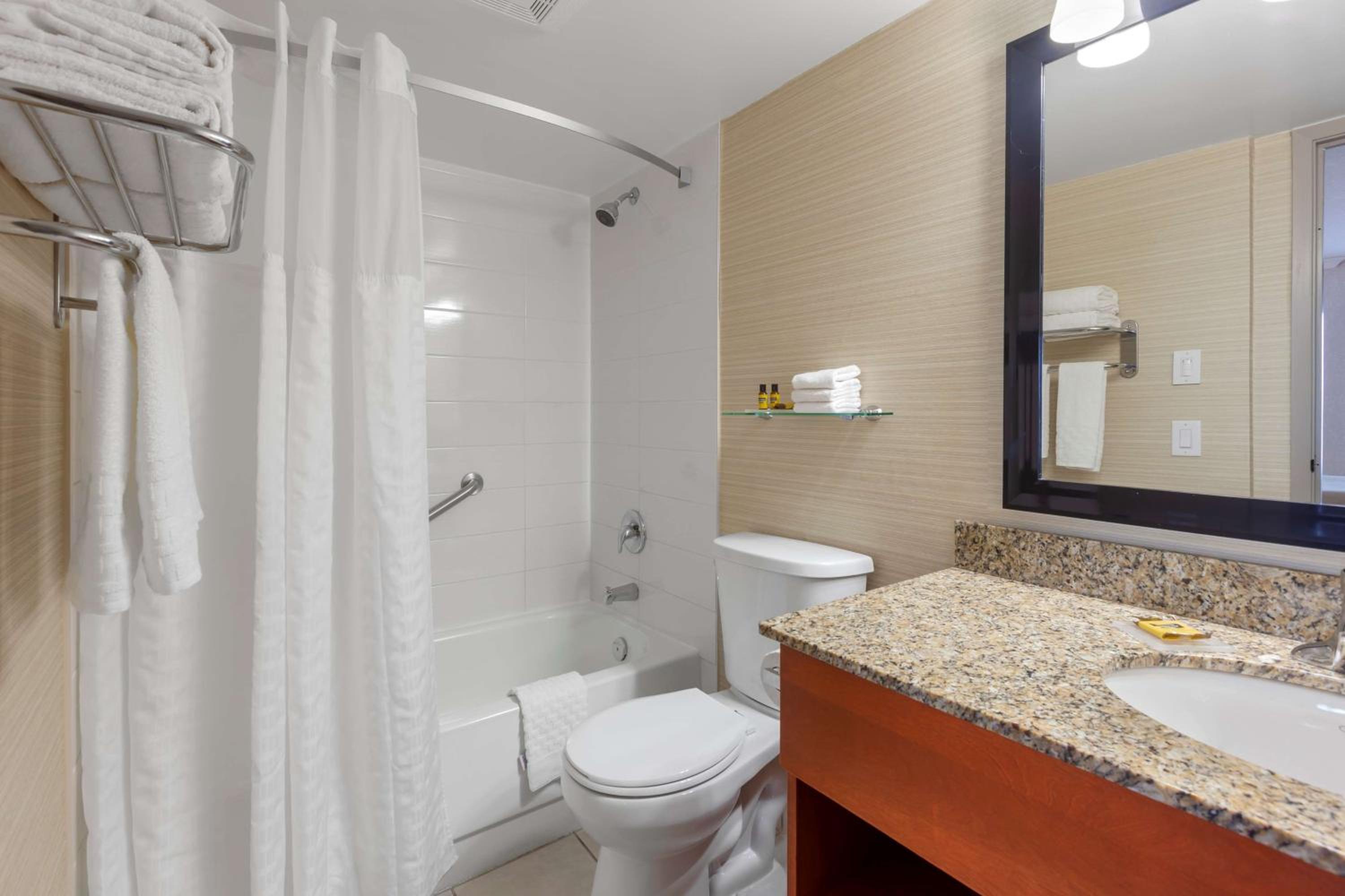 King Suite with Sofa Bed and Kitchen