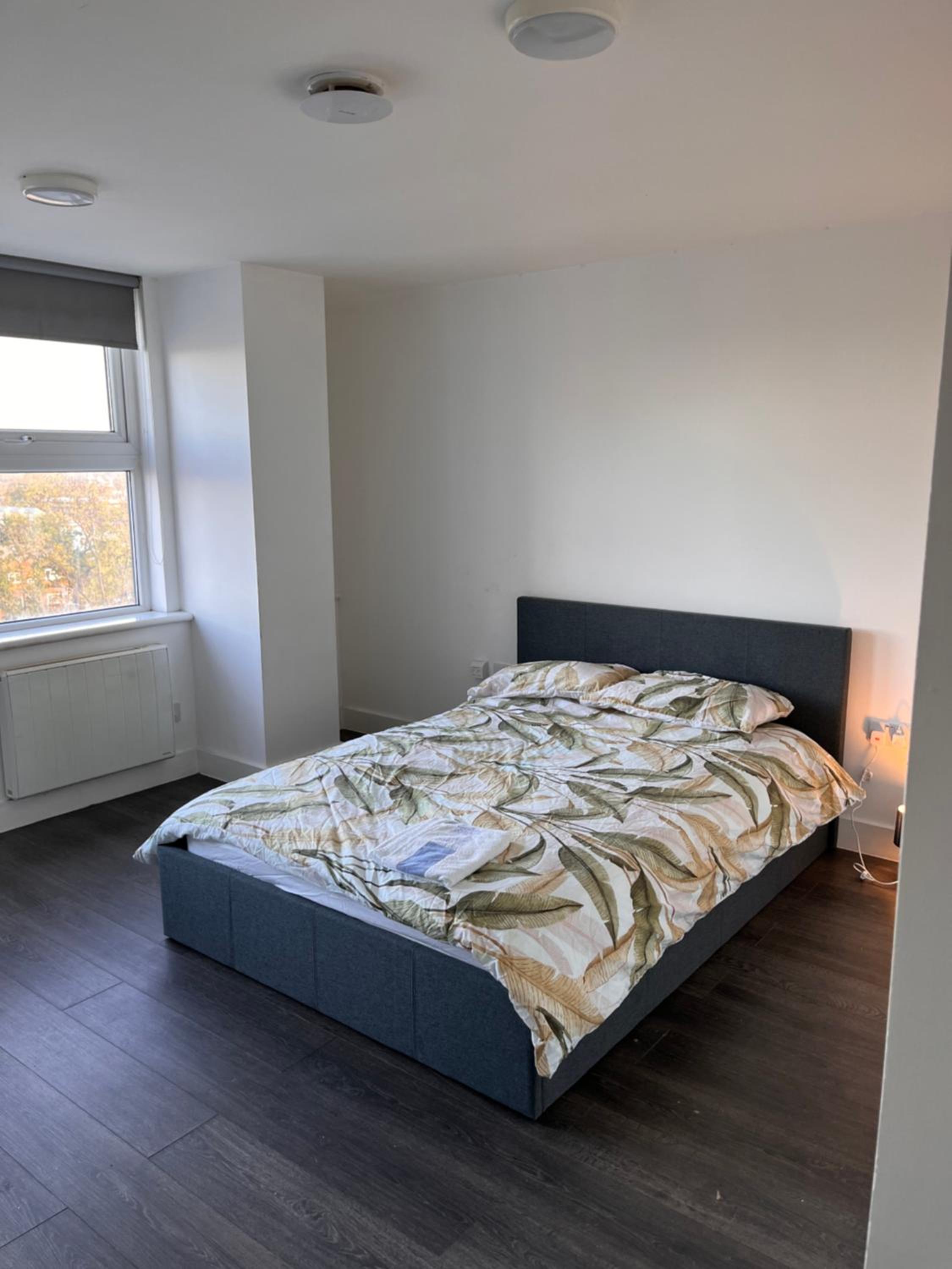 One-Bedroom Apartment photo 3