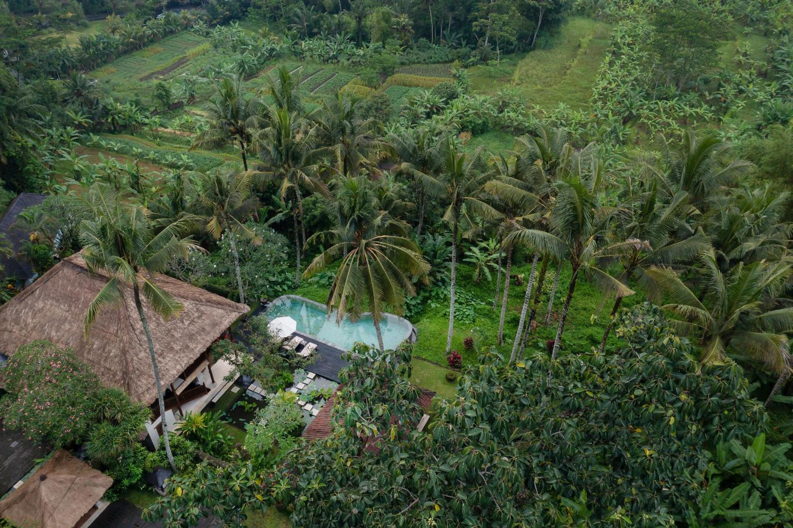 Three-Bedroom Villa - Photo 19