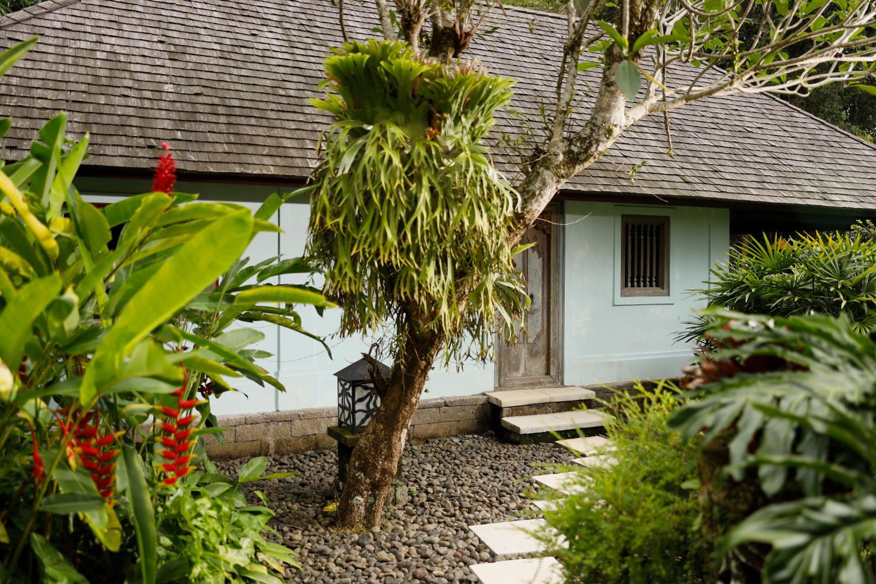 Three-Bedroom Villa - Photo 3