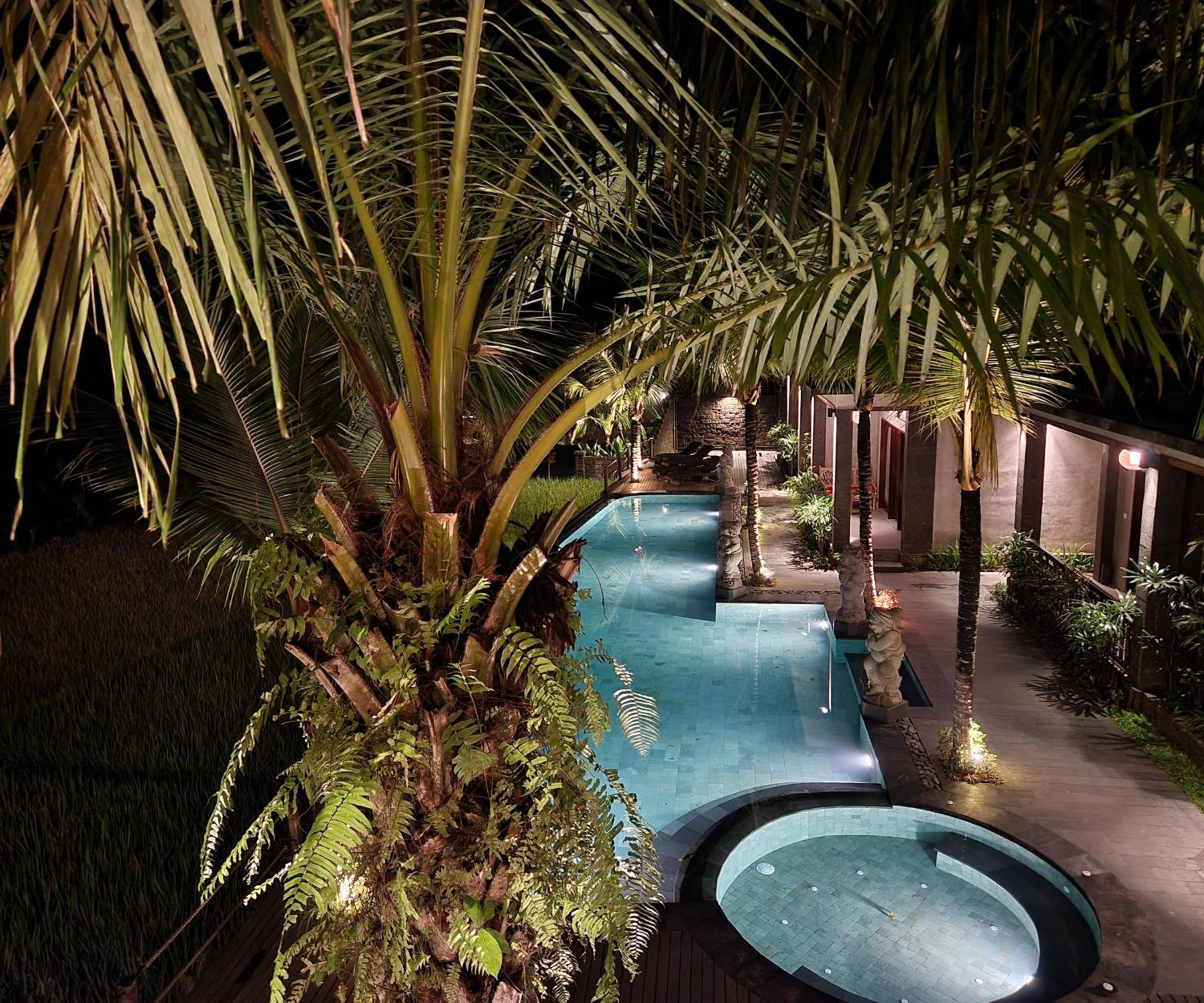Luxury Villa - Photo 51