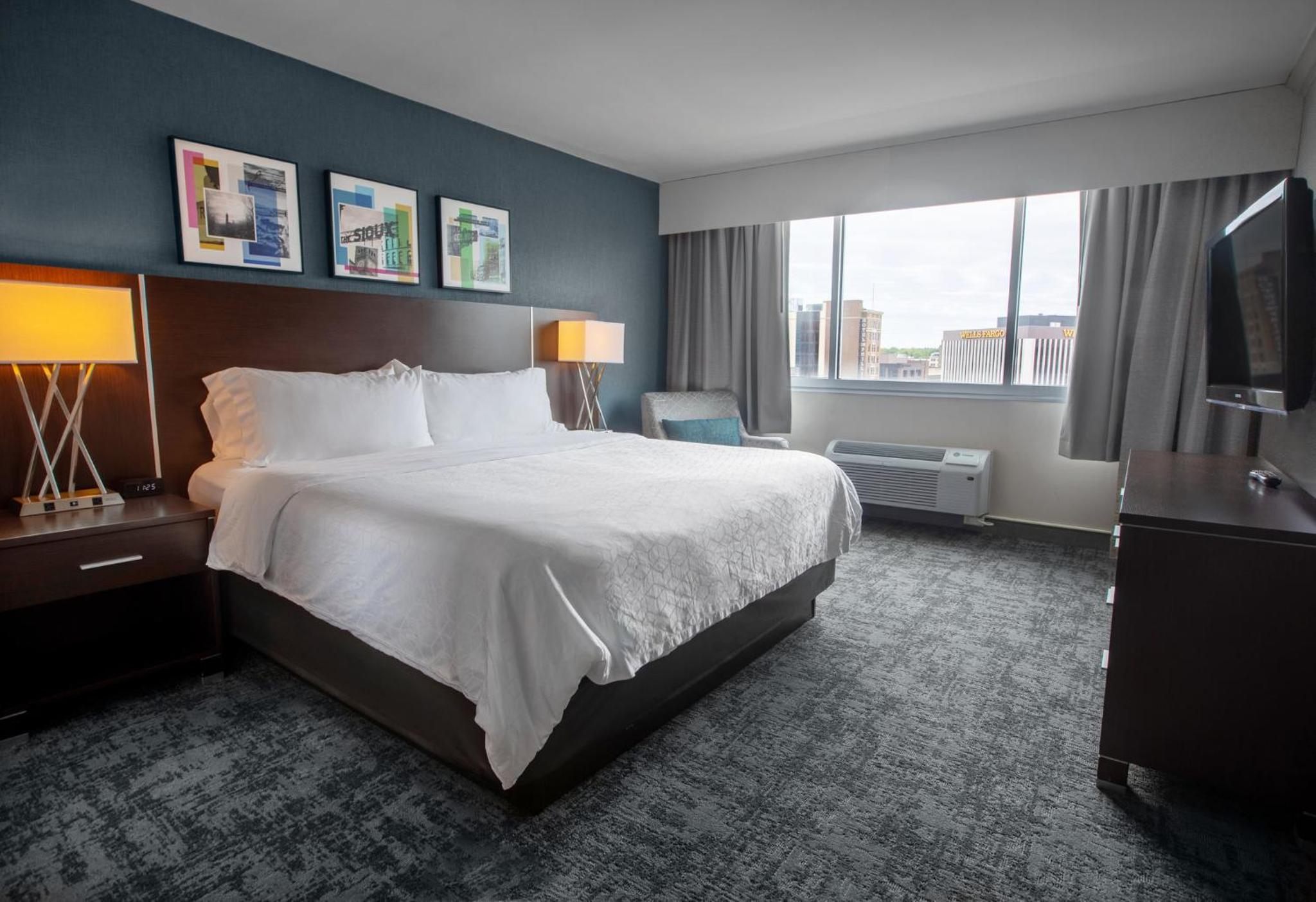 One-Bedroom King Suite with City View photo 2