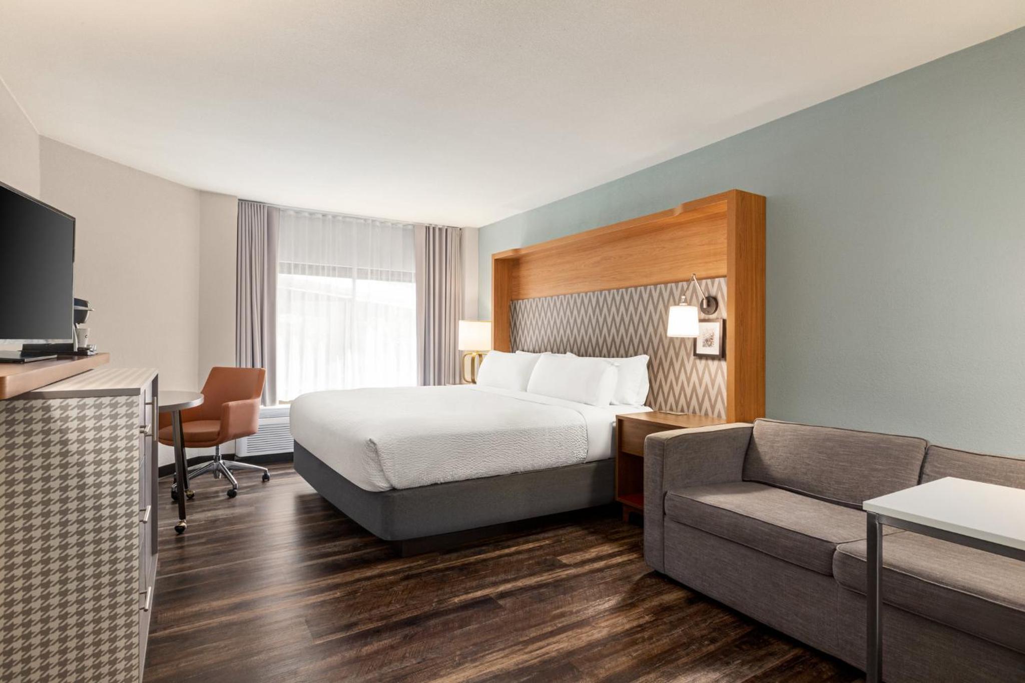 Standard King Room with Sofa Bed - Pet Friendly