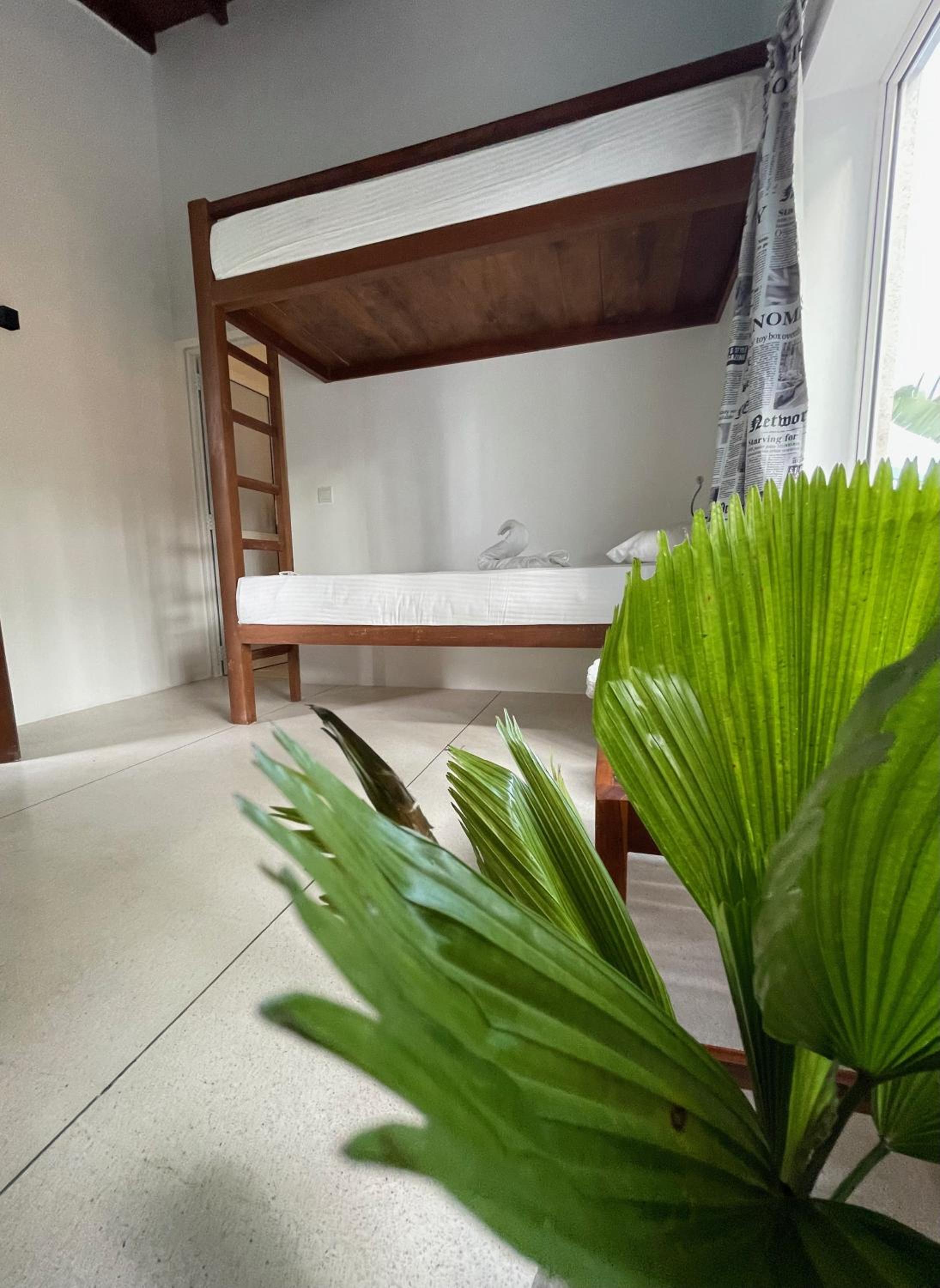 Quadruple Room with Private Bathroom photo 3