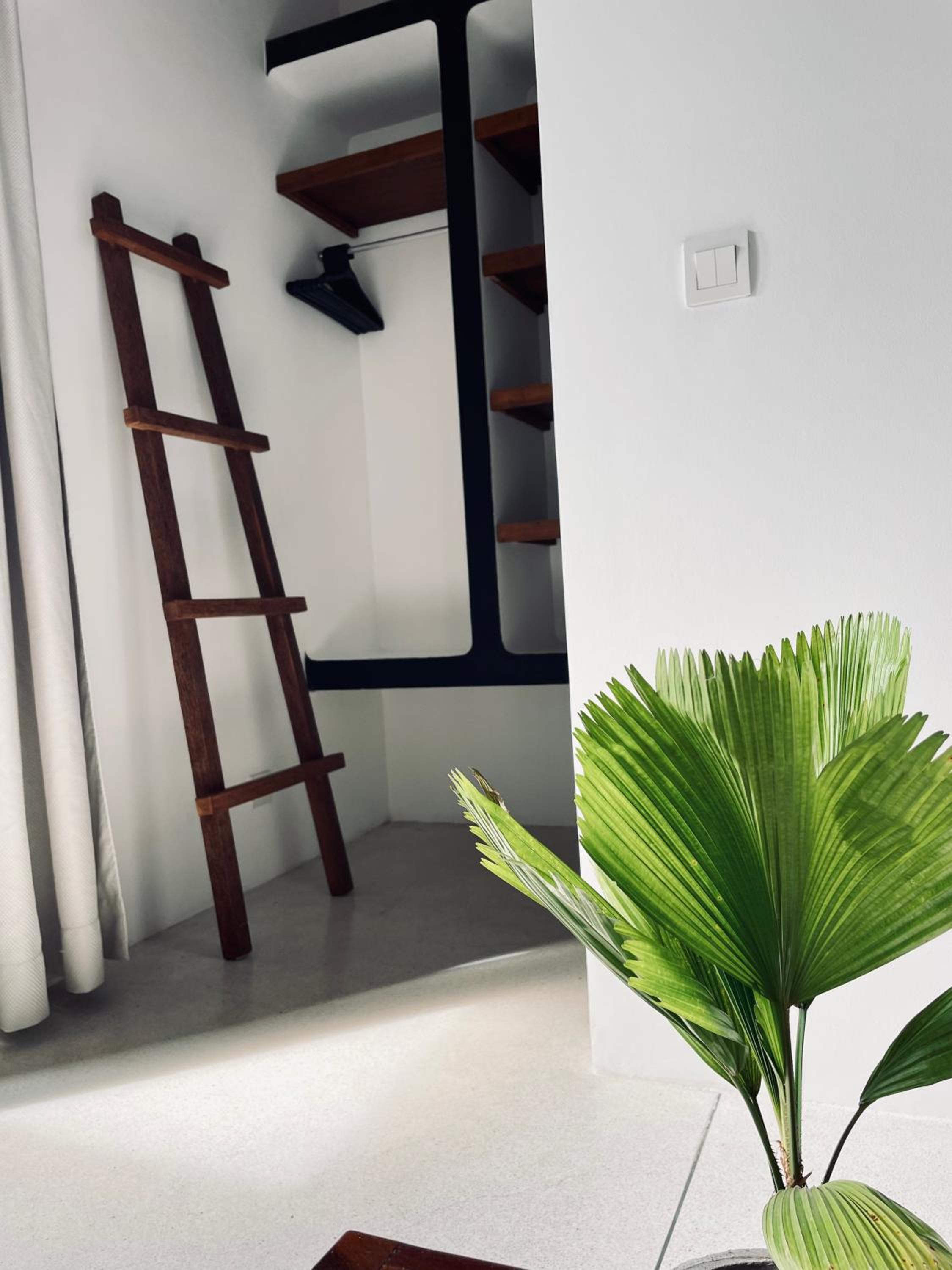 Double Room with Garden View photo 3