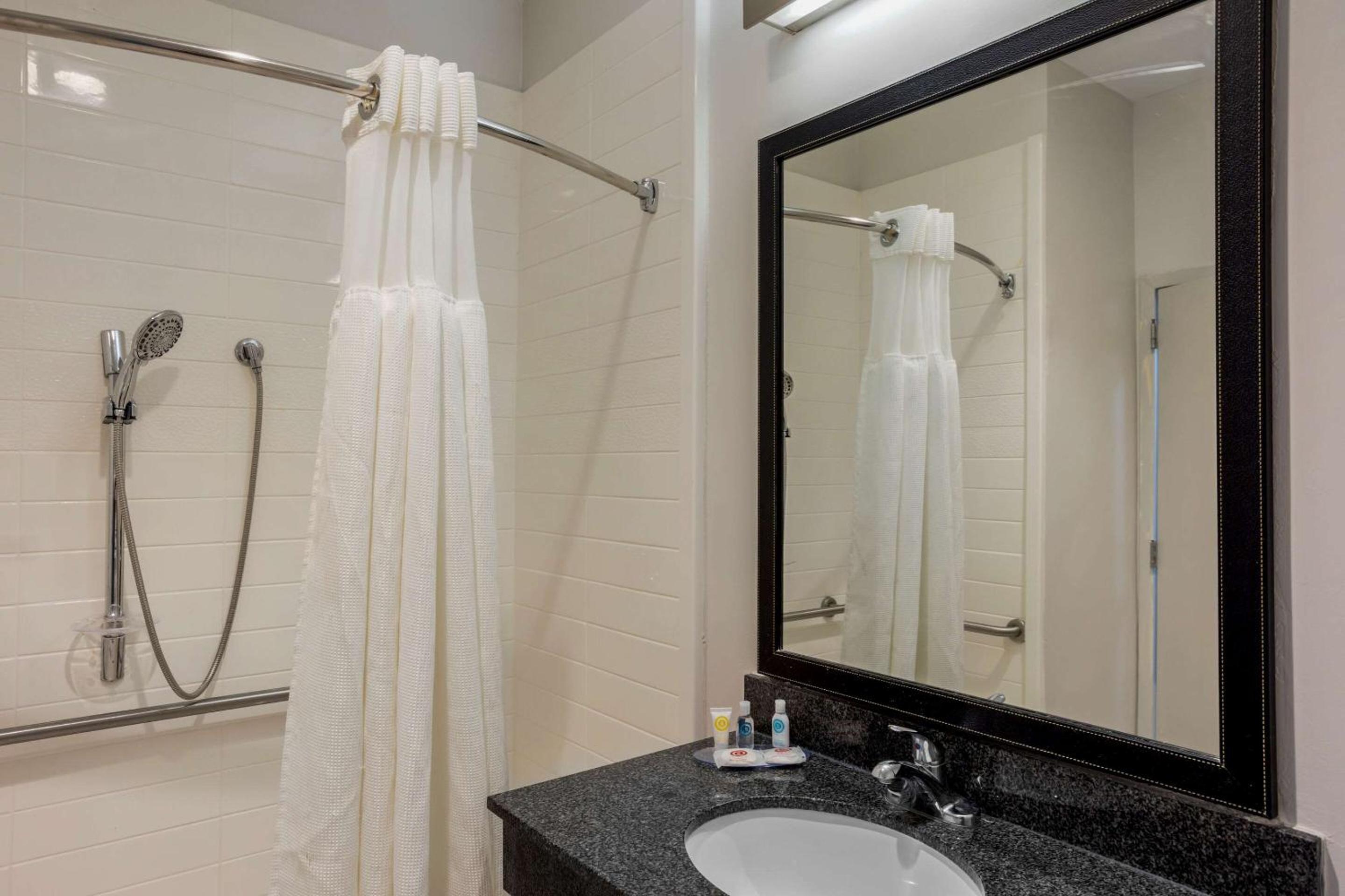 King Room with Roll-In Shower - Accessible/Non Smoking - Photo 6