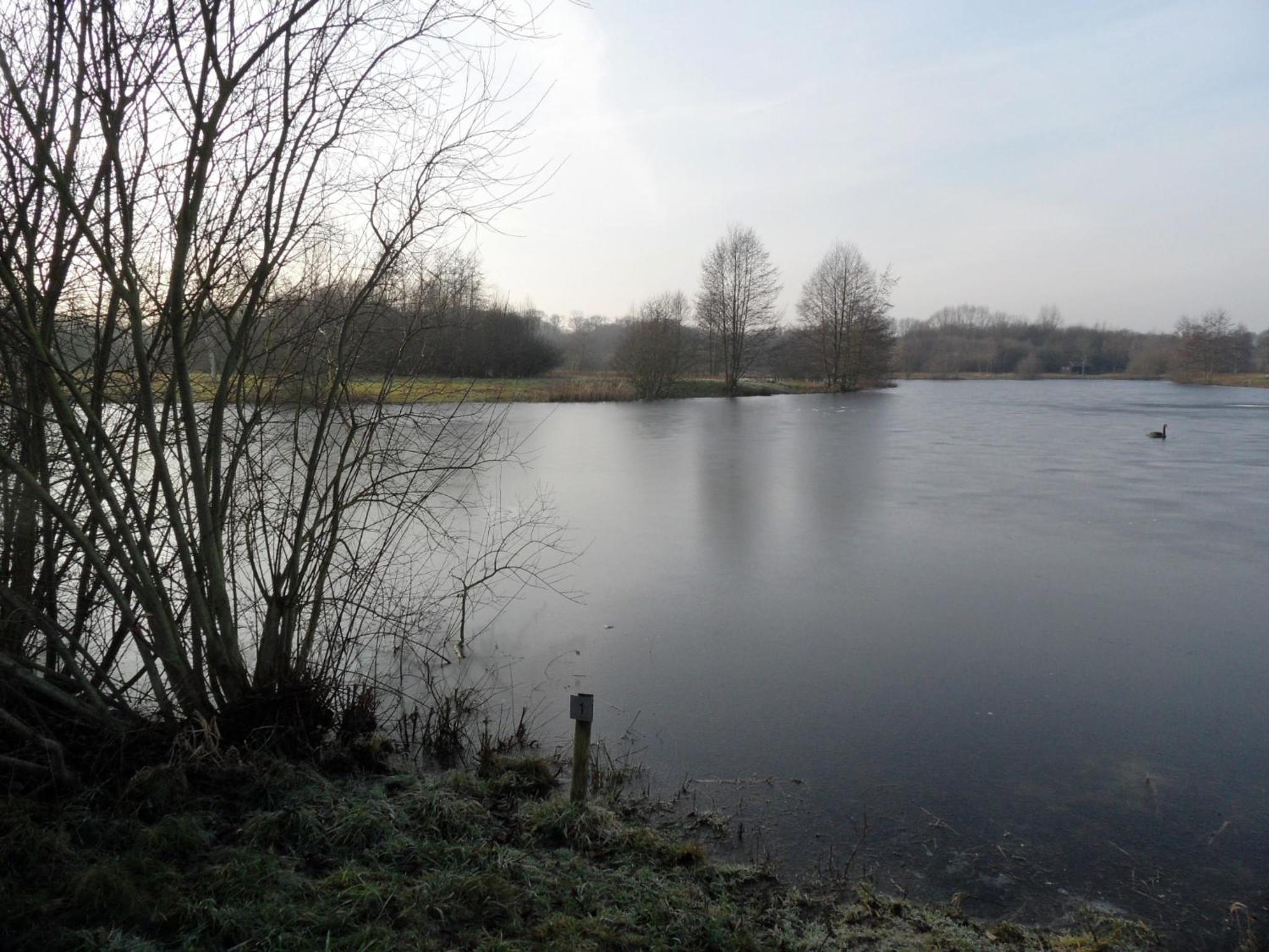 Two-Bedroom Apartment with Balcony - Photo 41