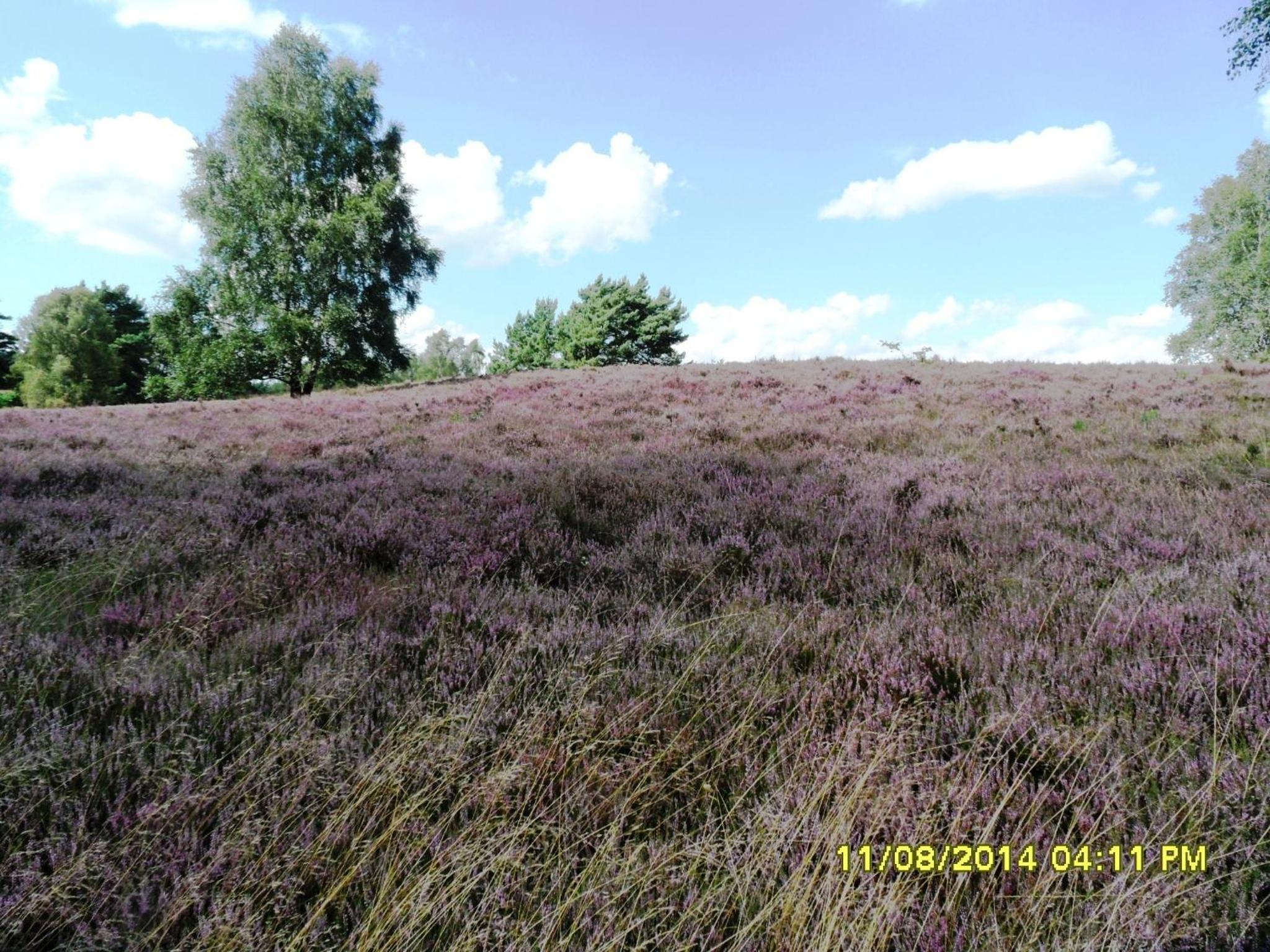 Two-Bedroom Apartment with Balcony - Photo 90
