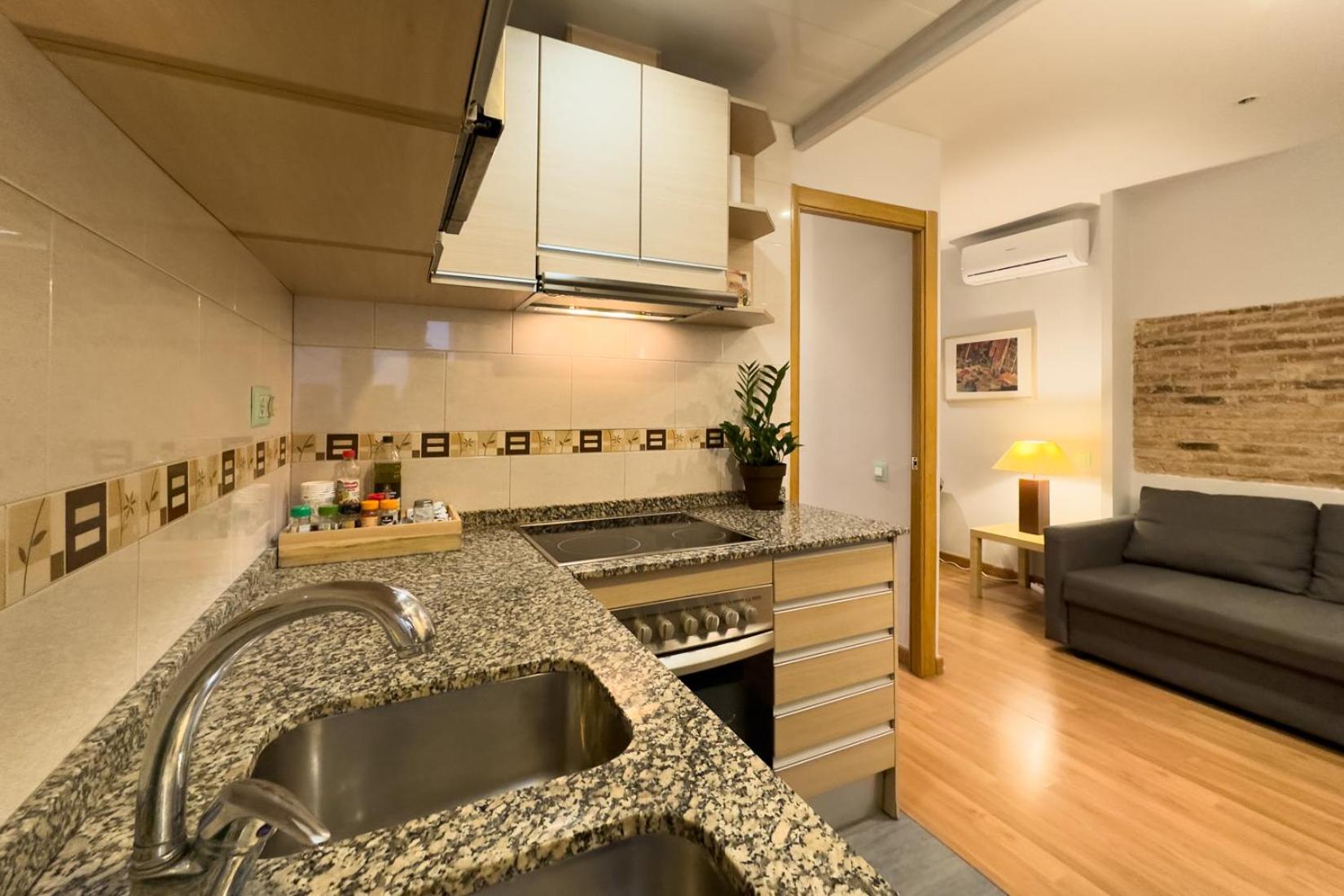 Apartment with Terrace photo 2
