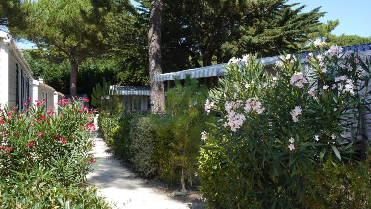 Mobile Home for disabled people photo 3