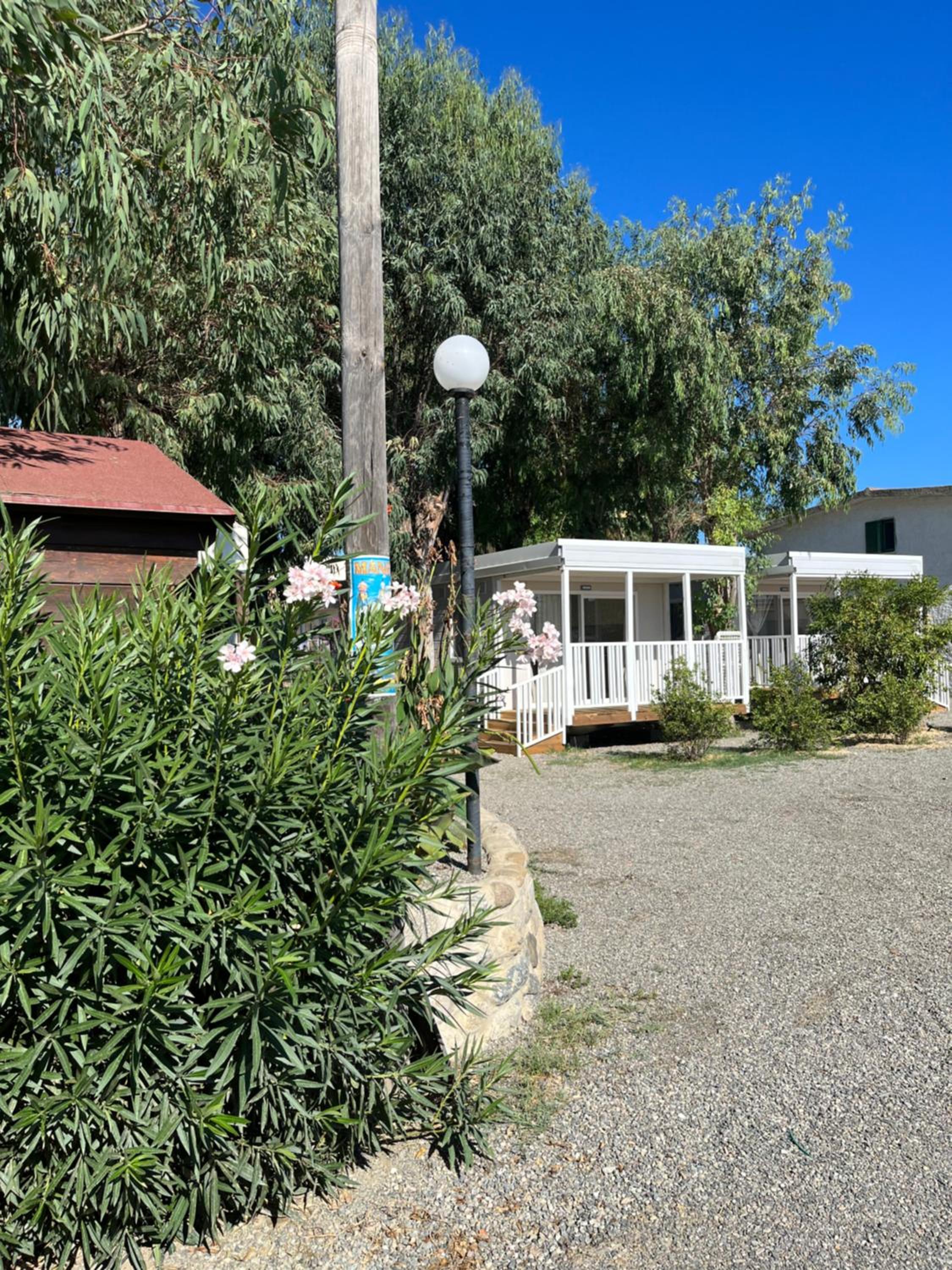Mobile Home photo 2