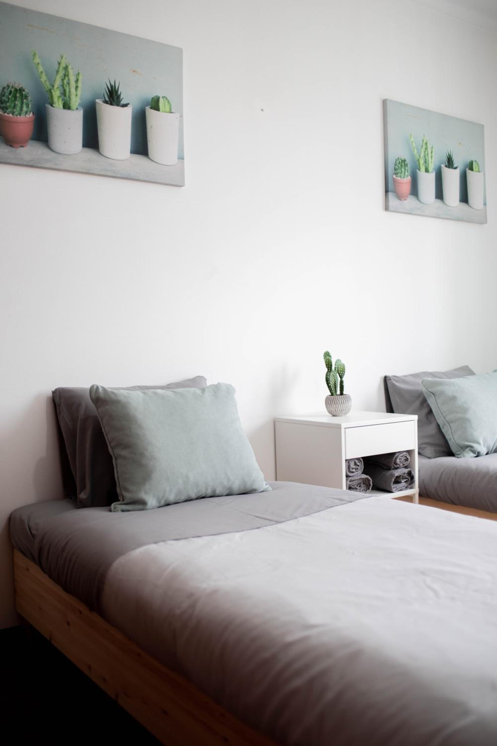 Twin Room photo 2