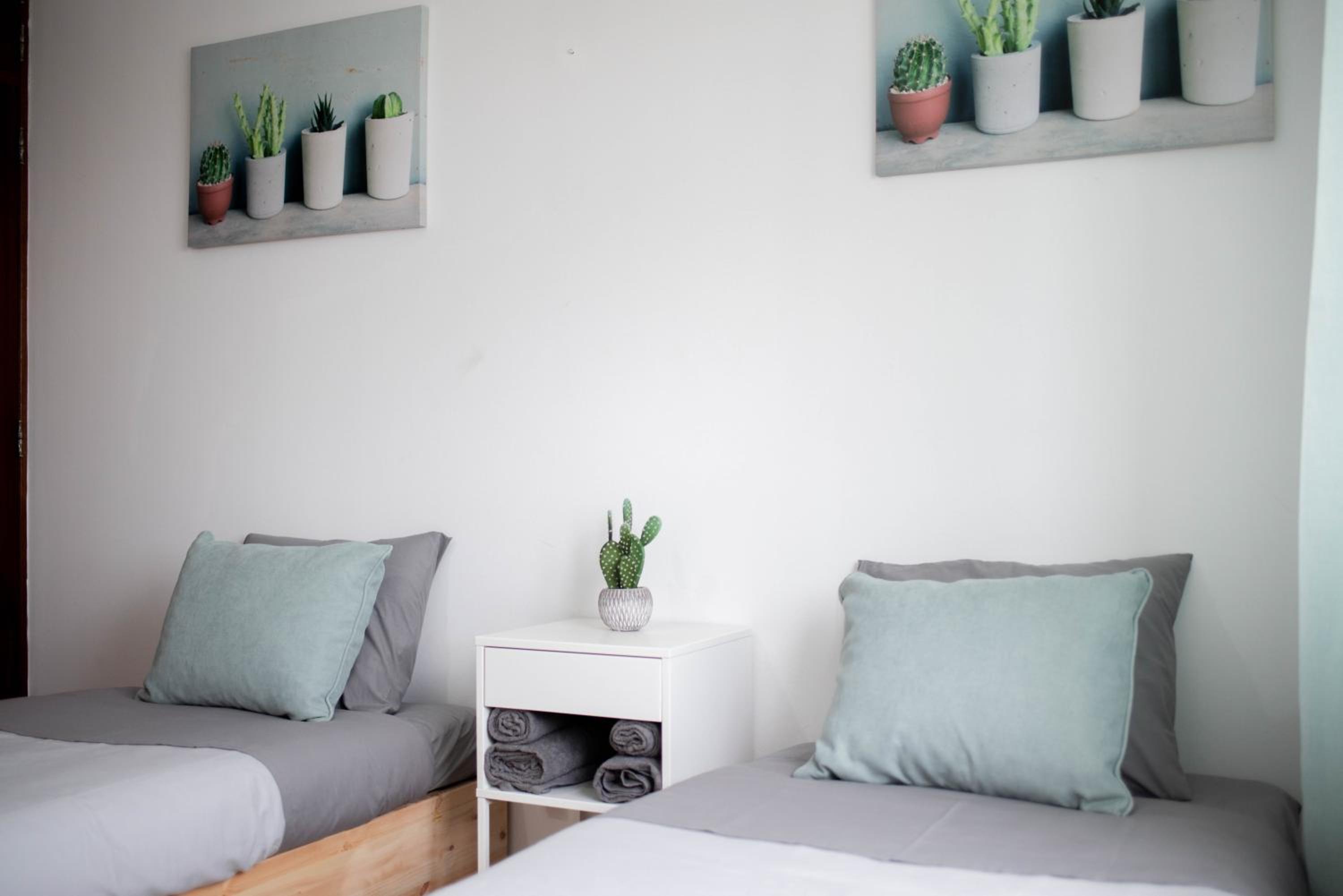 Twin Room photo 3
