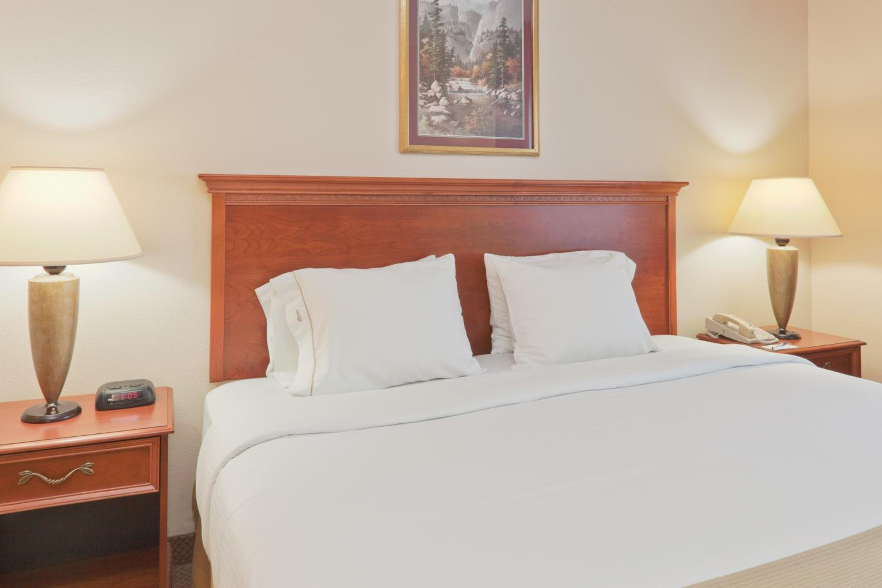 Deluxe King Suite - Non-Smoking - Photo 4