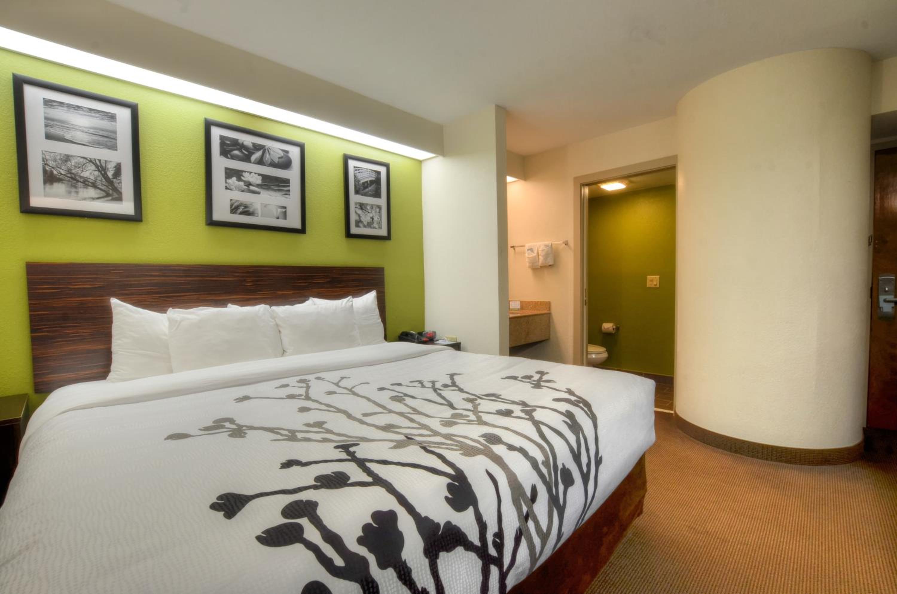 King Room - Photo 13