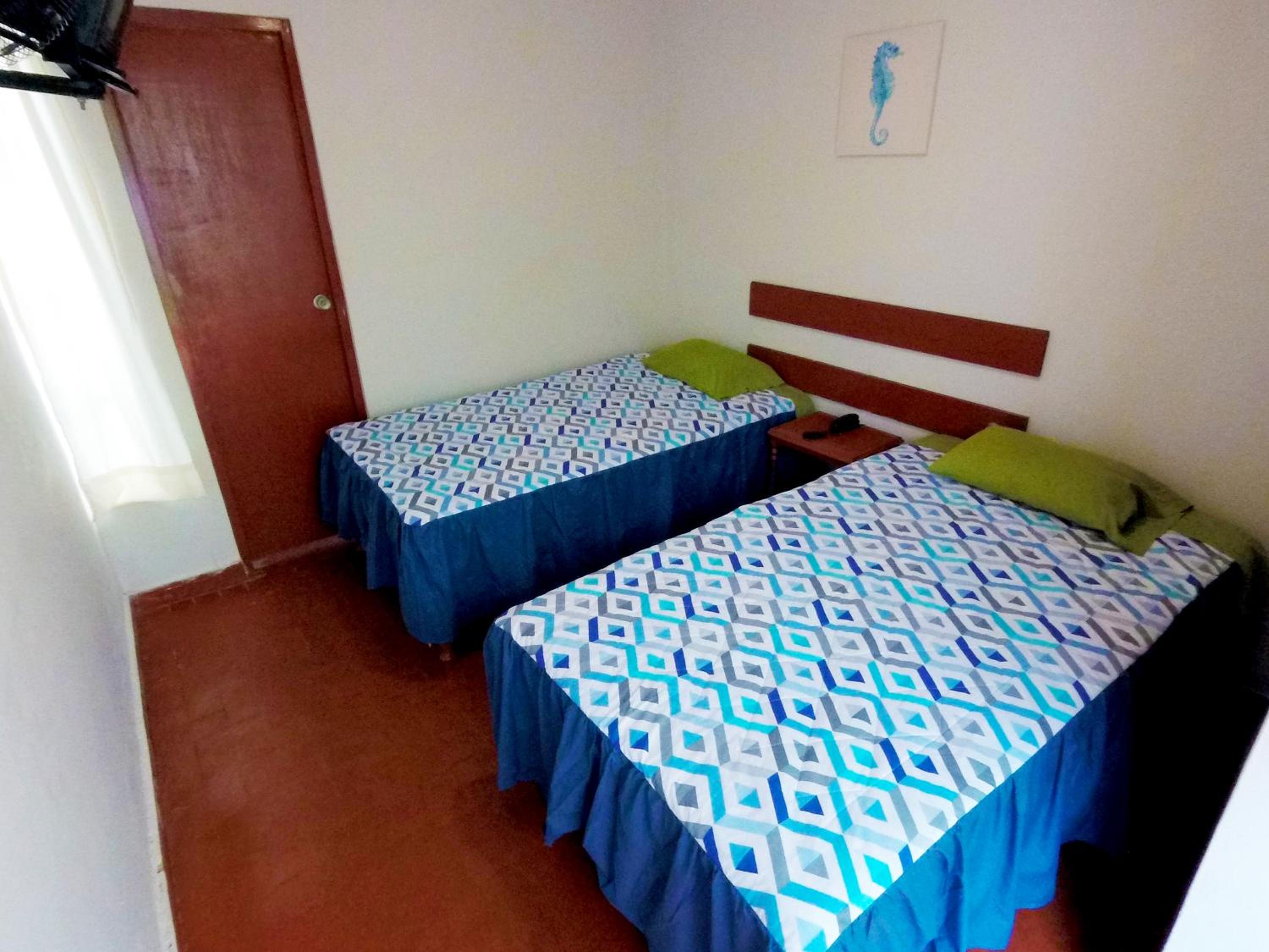 Twin Room photo 2