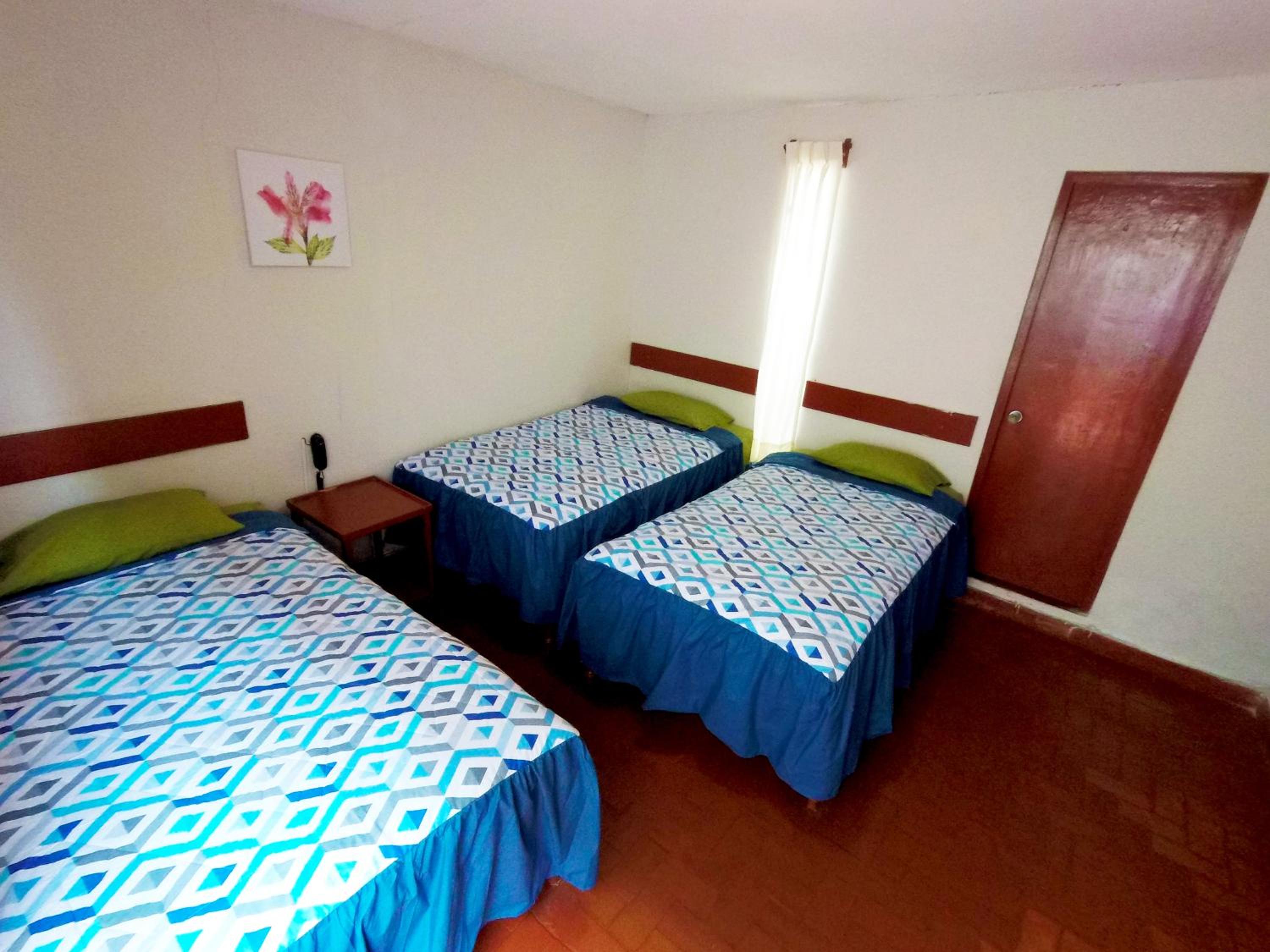 Triple Room photo 1