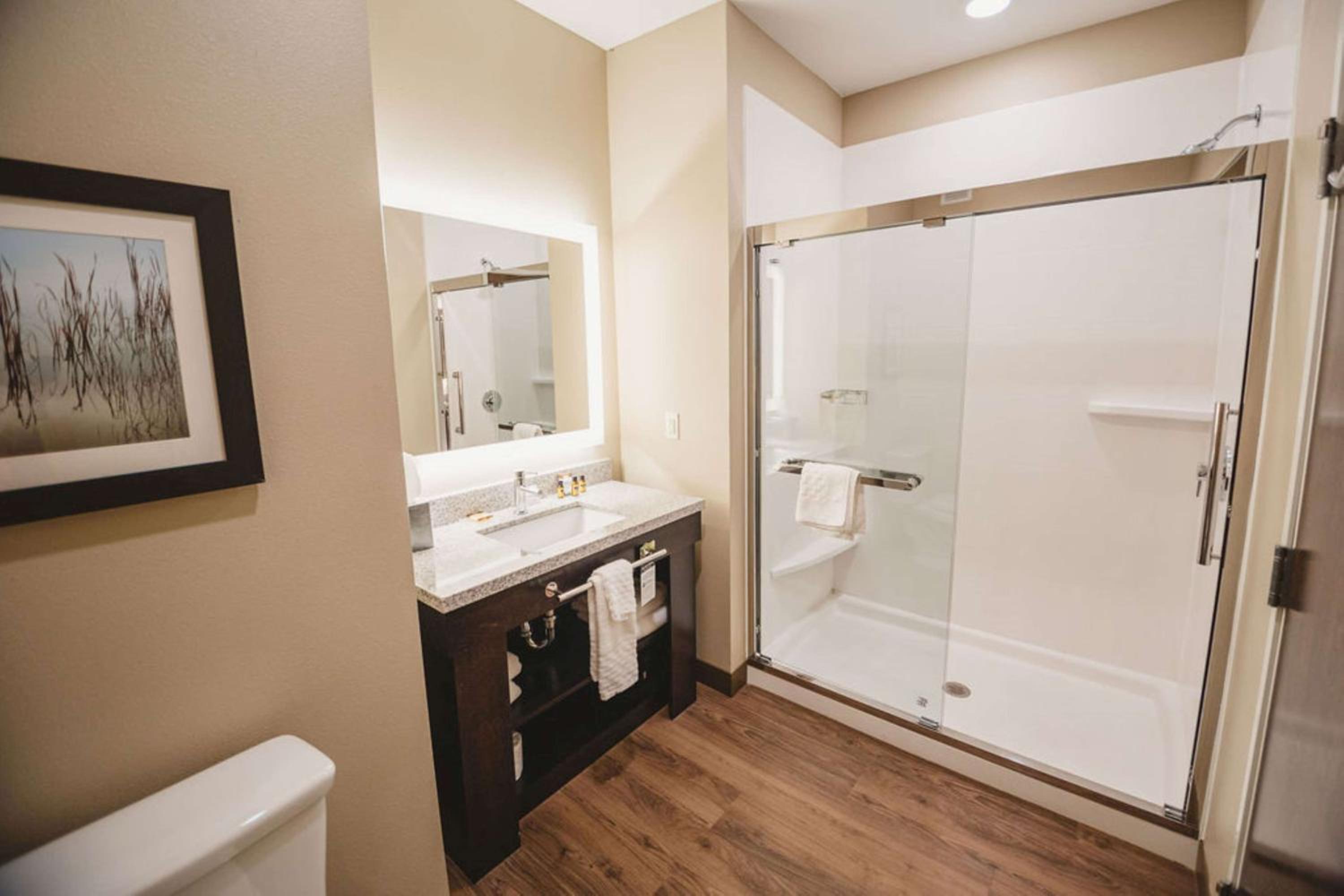 King Suite with Chaise and Kitchenette - Non-Smoking - Photo 5