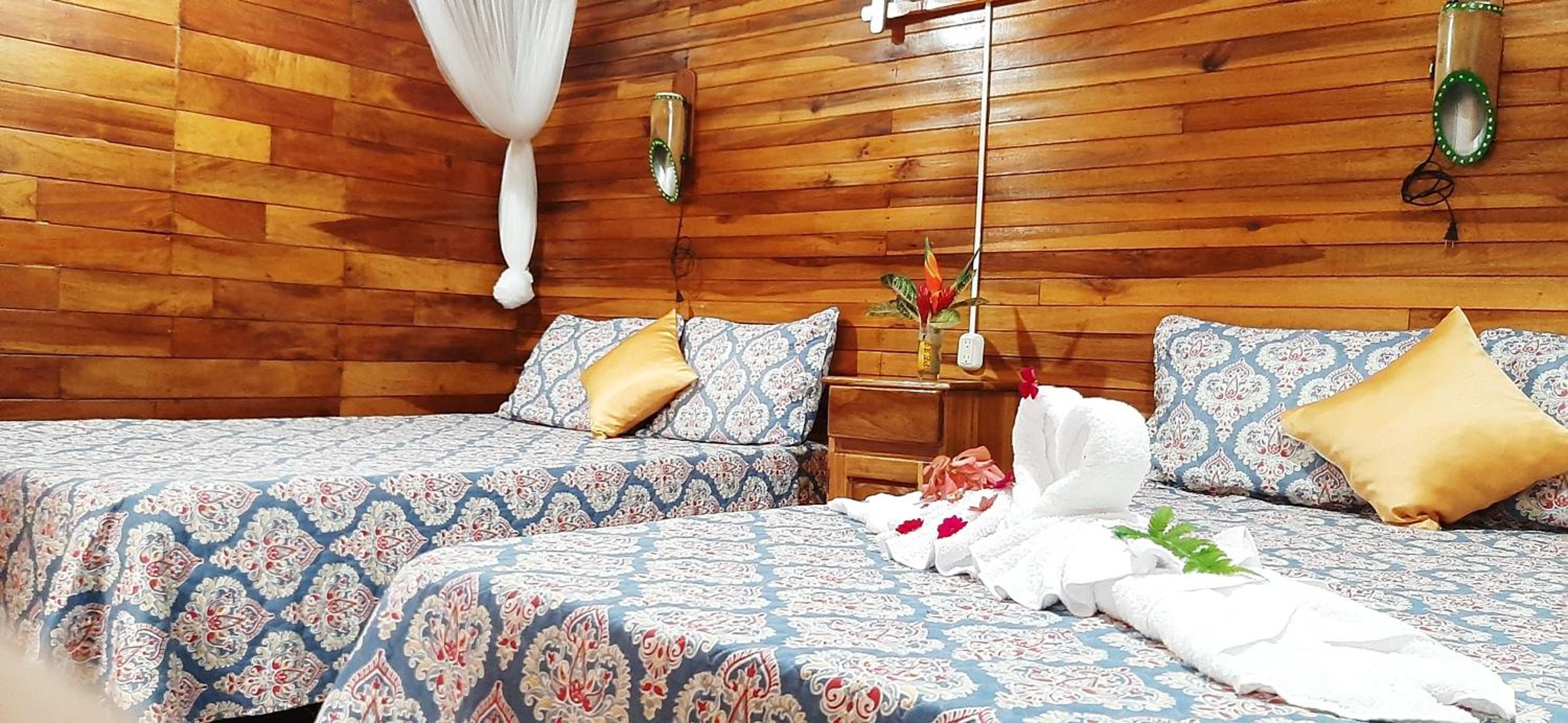 King Room with Garden View photo 3