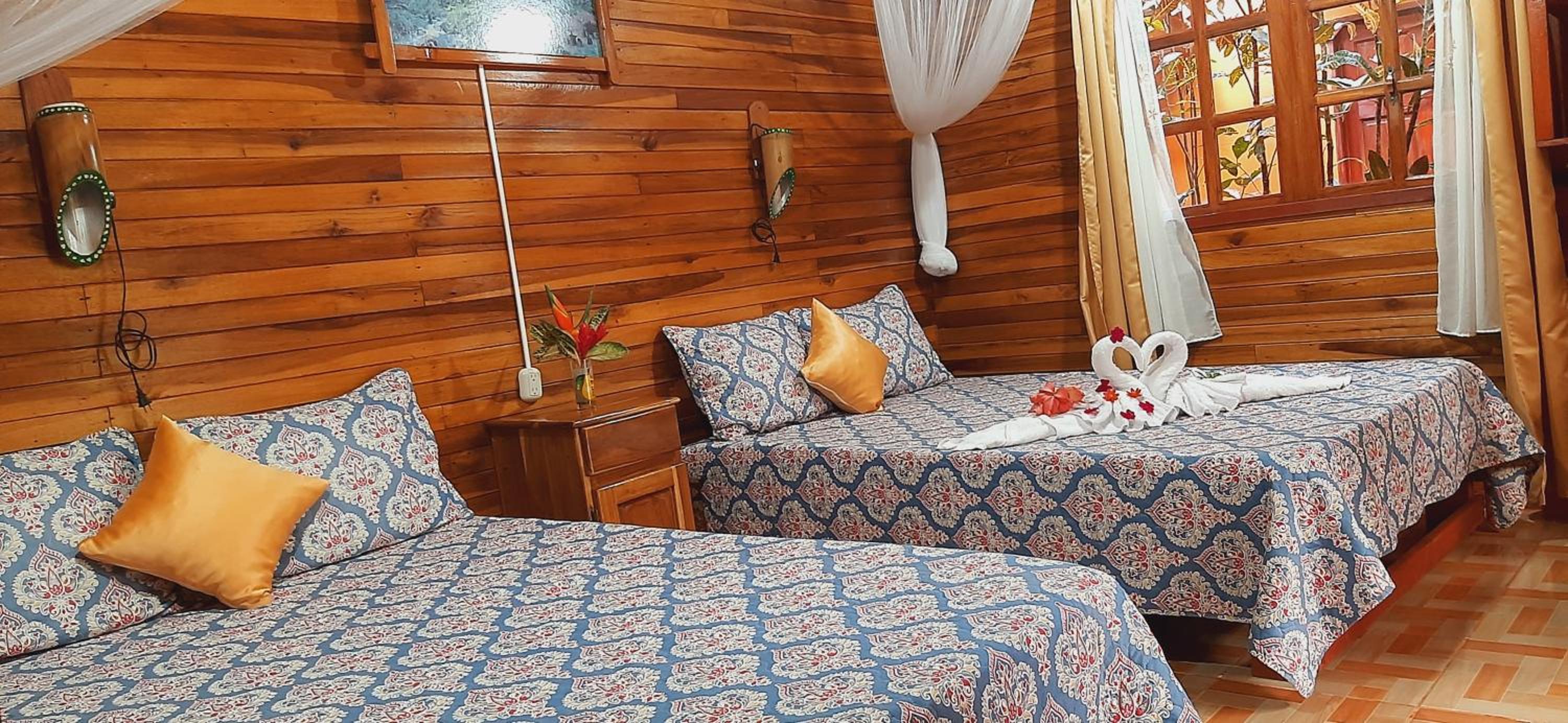 King Room with Garden View photo 2