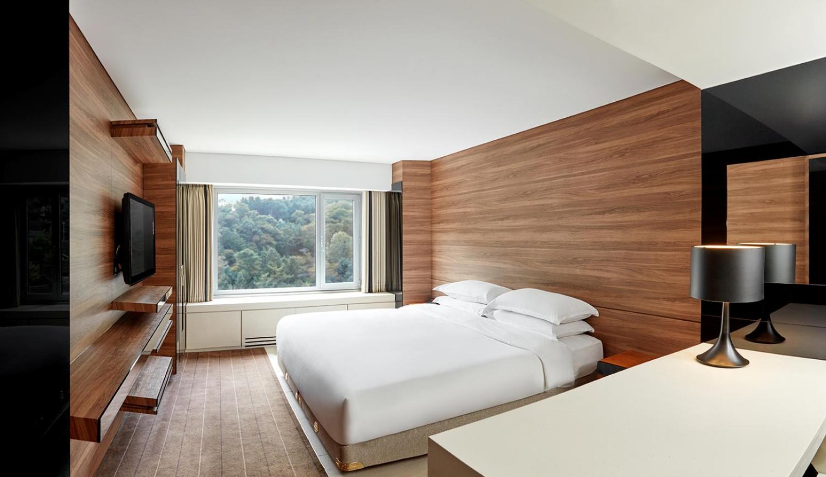 Deluxe Double Room with Mountain View