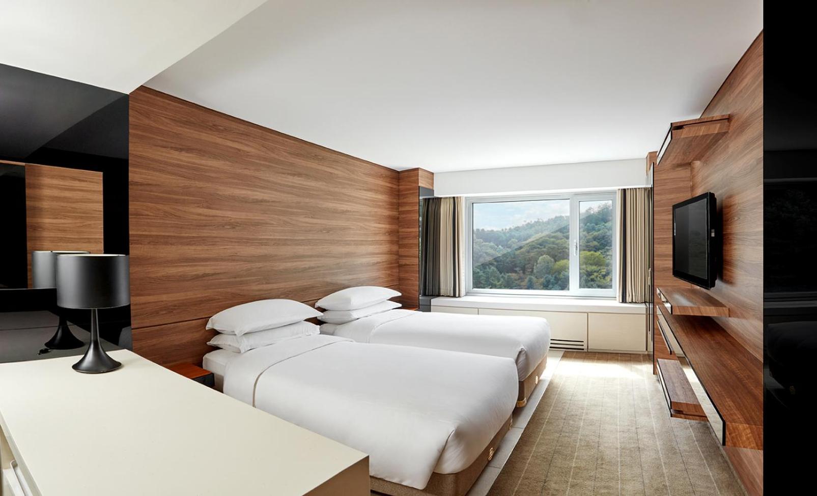 Deluxe Twin Room with Mountain View