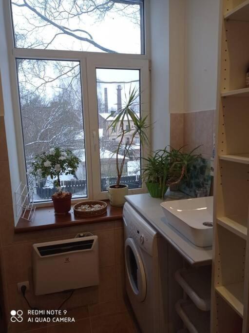 One-Bedroom Apartment - Photo 7