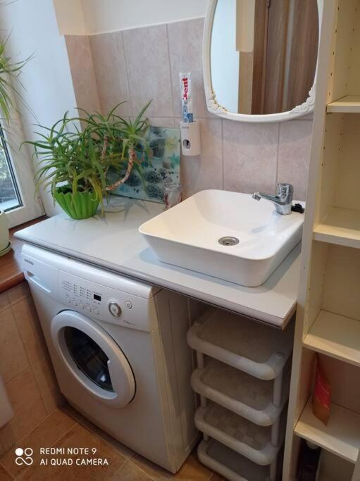 One-Bedroom Apartment - Photo 11