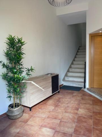 Superior Apartment photo 3