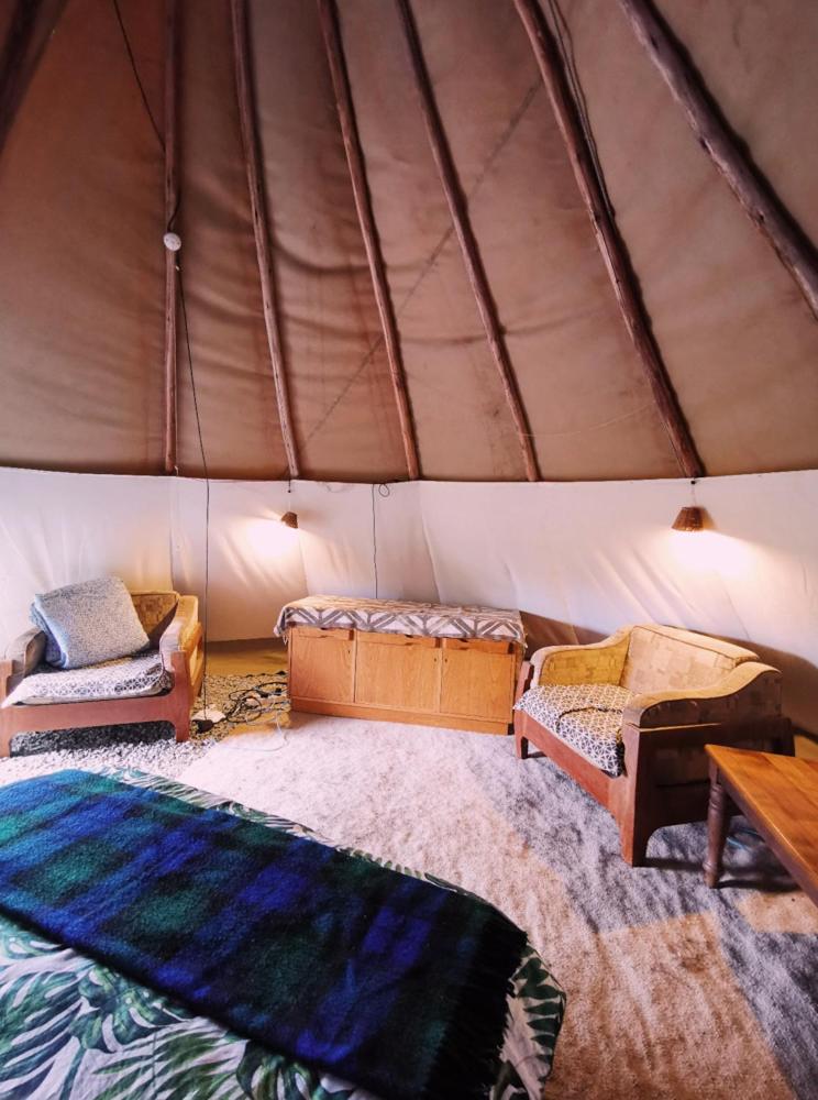 Standard Double Room - Photo 1