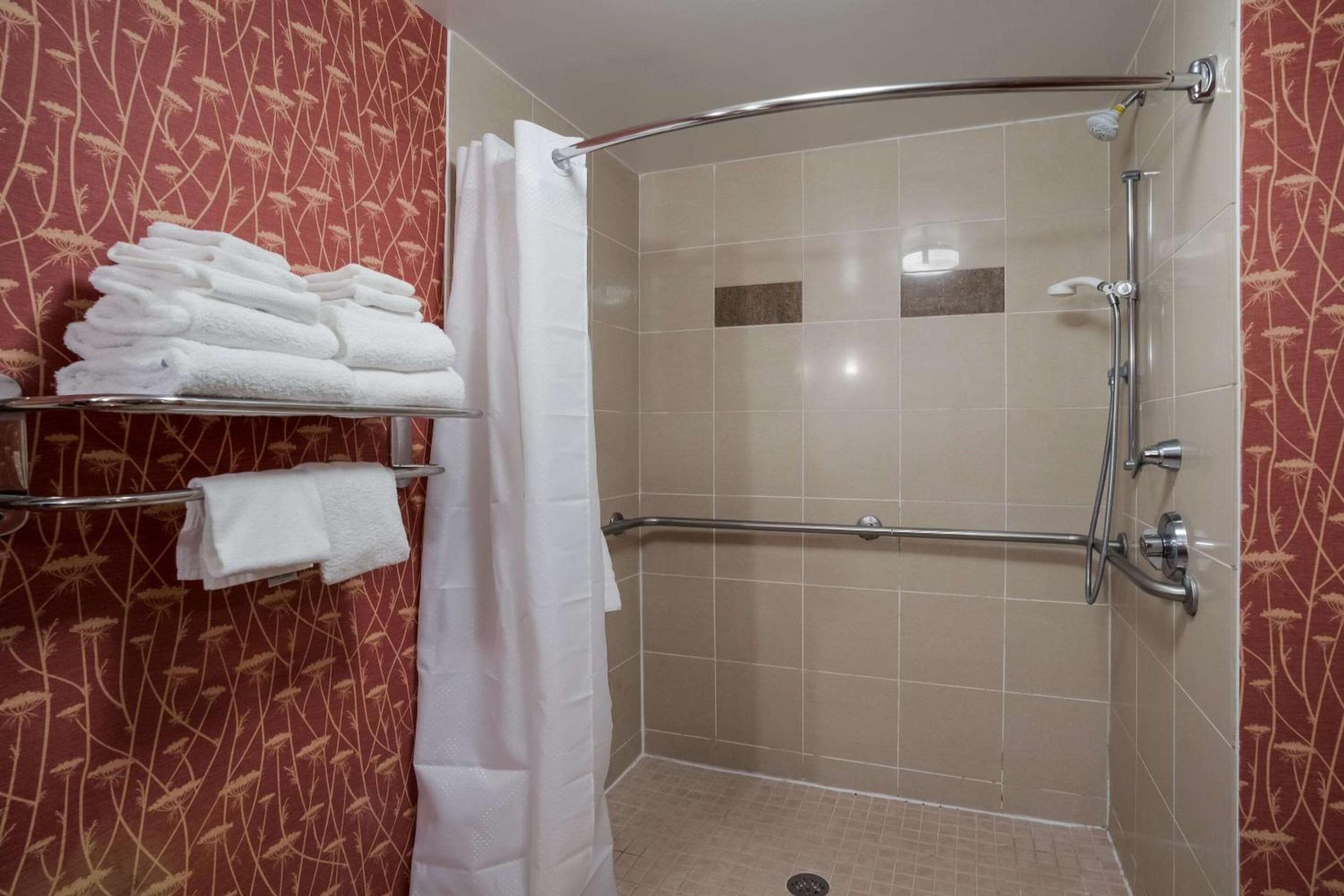 King Suite with Roll in Shower - Accessible/Non-Smoking