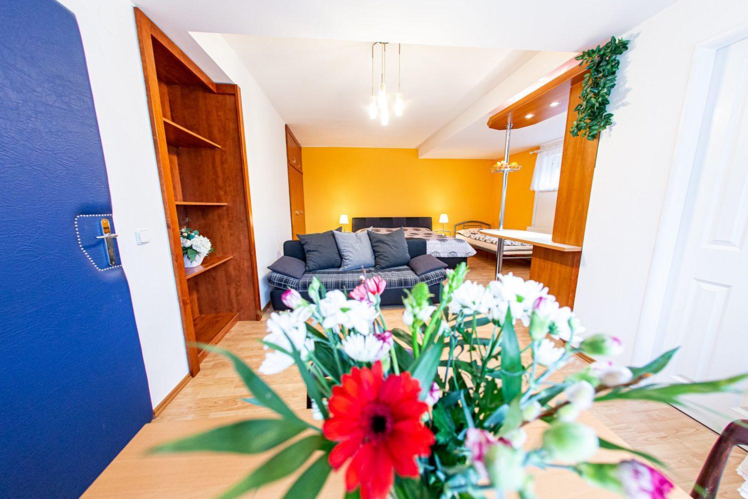 Studio with Garden View photo 3