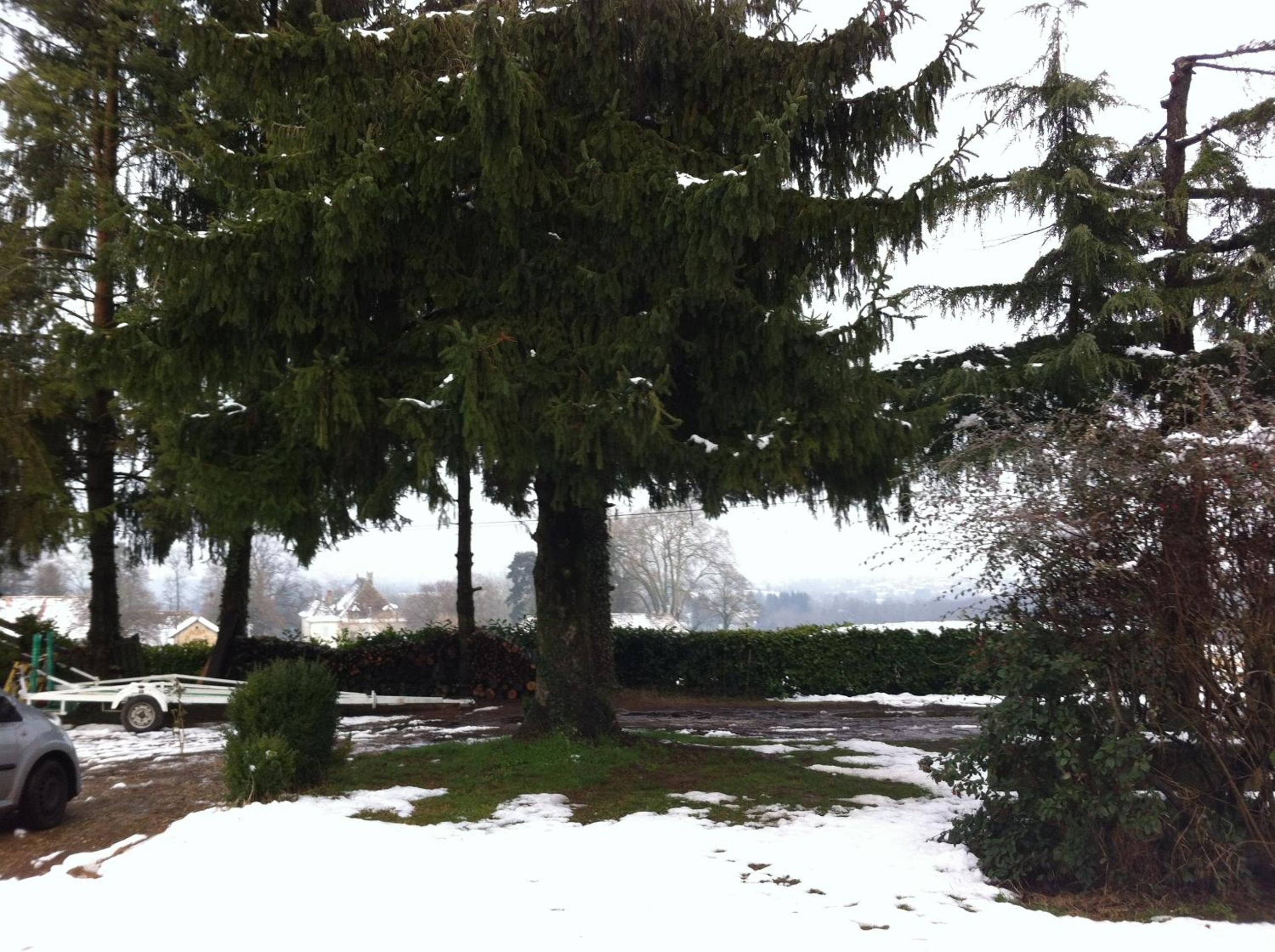 Studio with Garden View photo 3