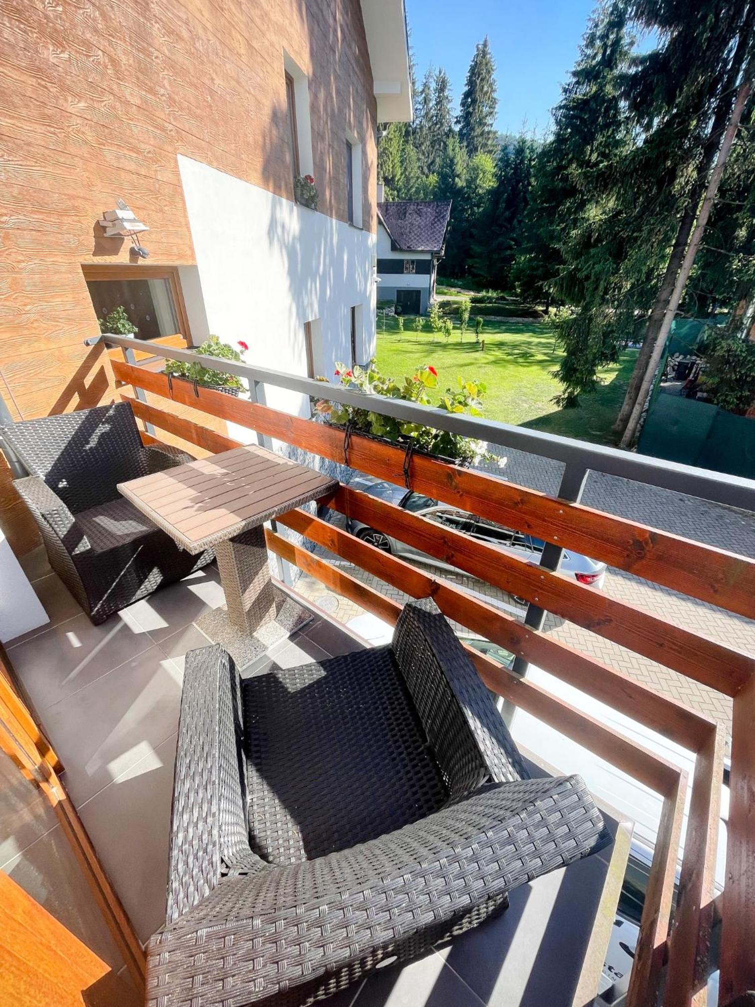 Studio with Fireplace and Balcony photo 3