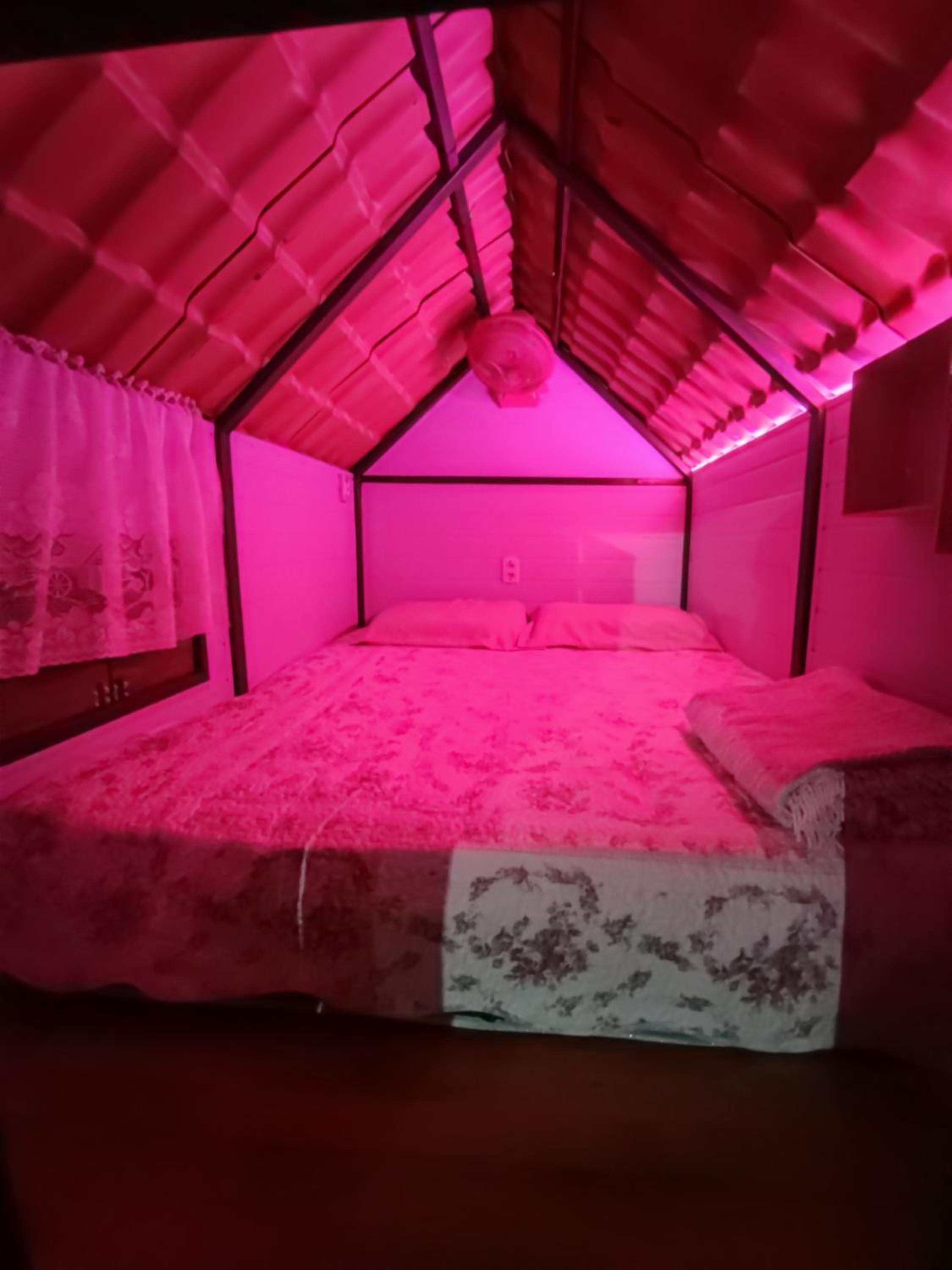 Tent - Photo 19