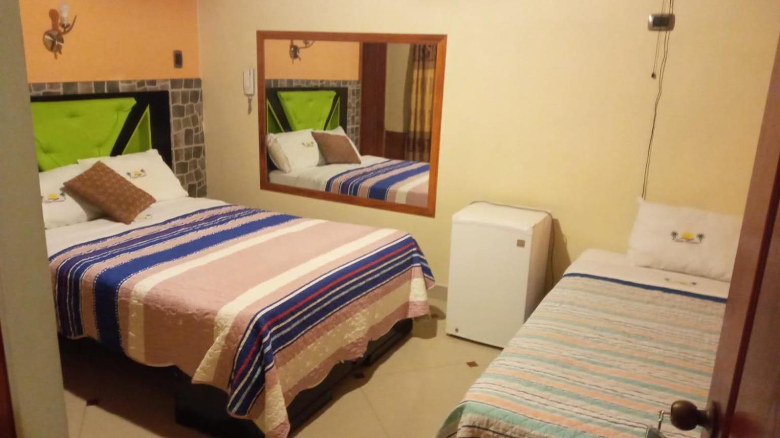 Twin Room photo 2
