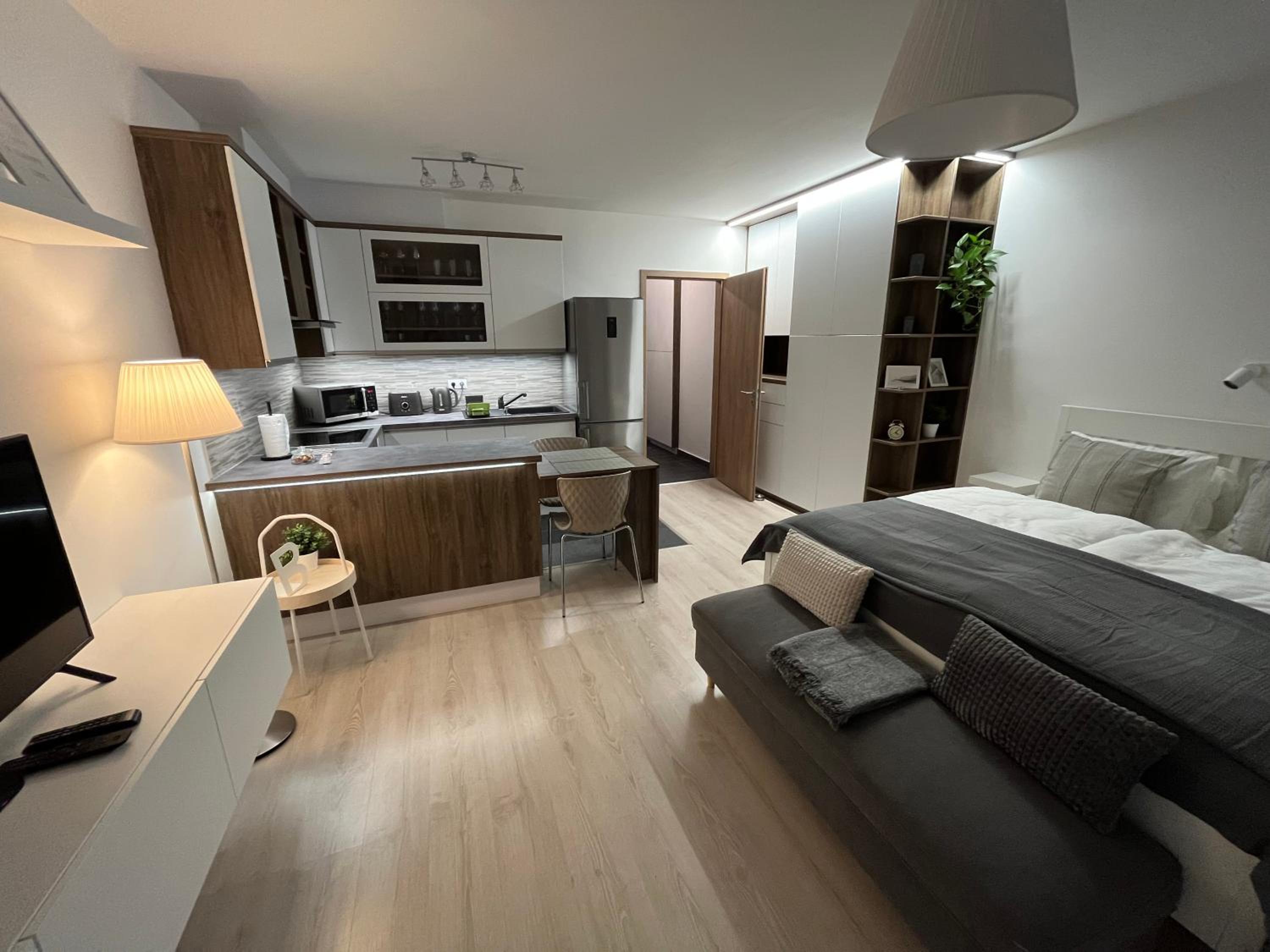 One-Bedroom Apartment
