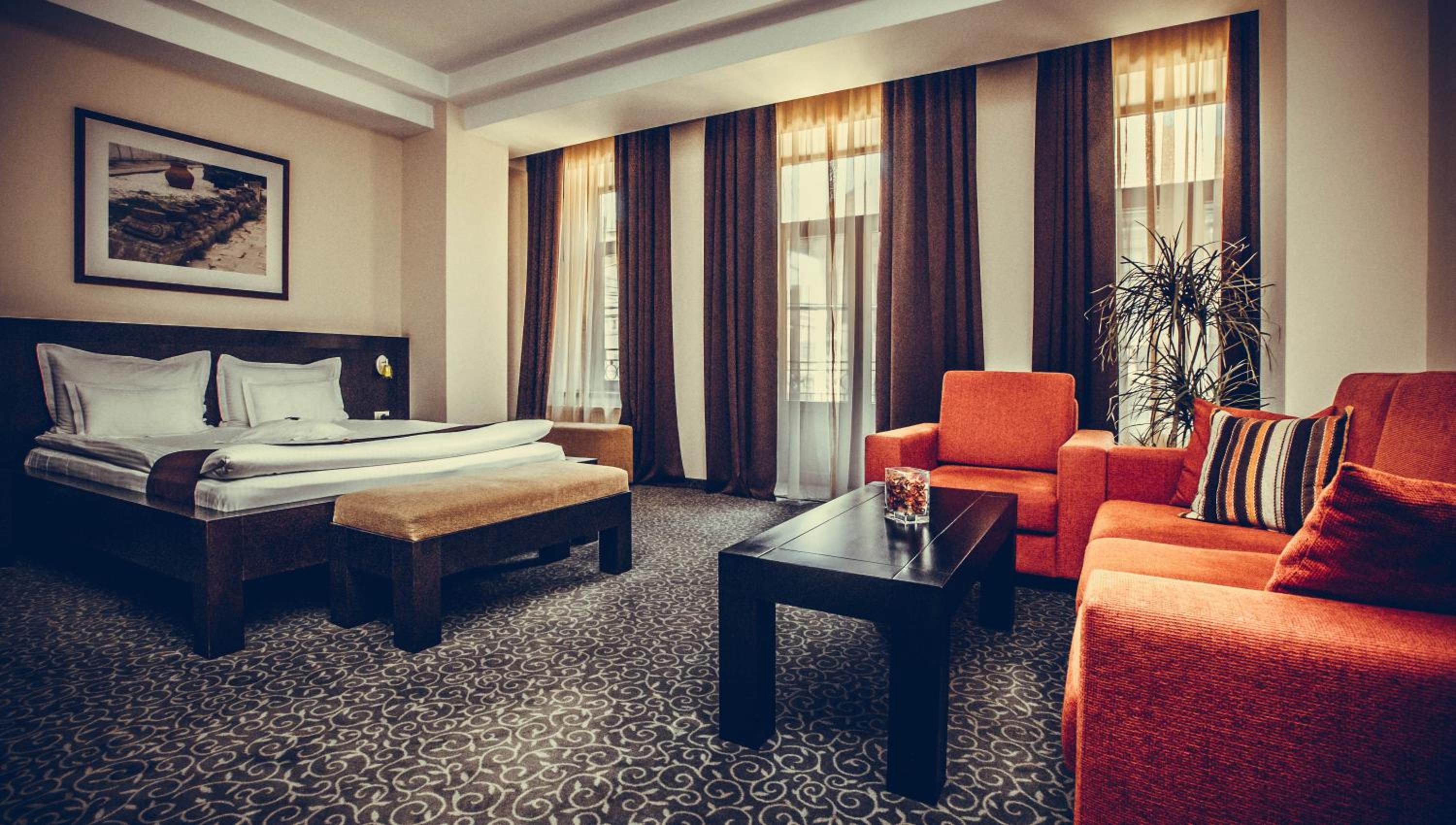 Premium Suite - Photo 13