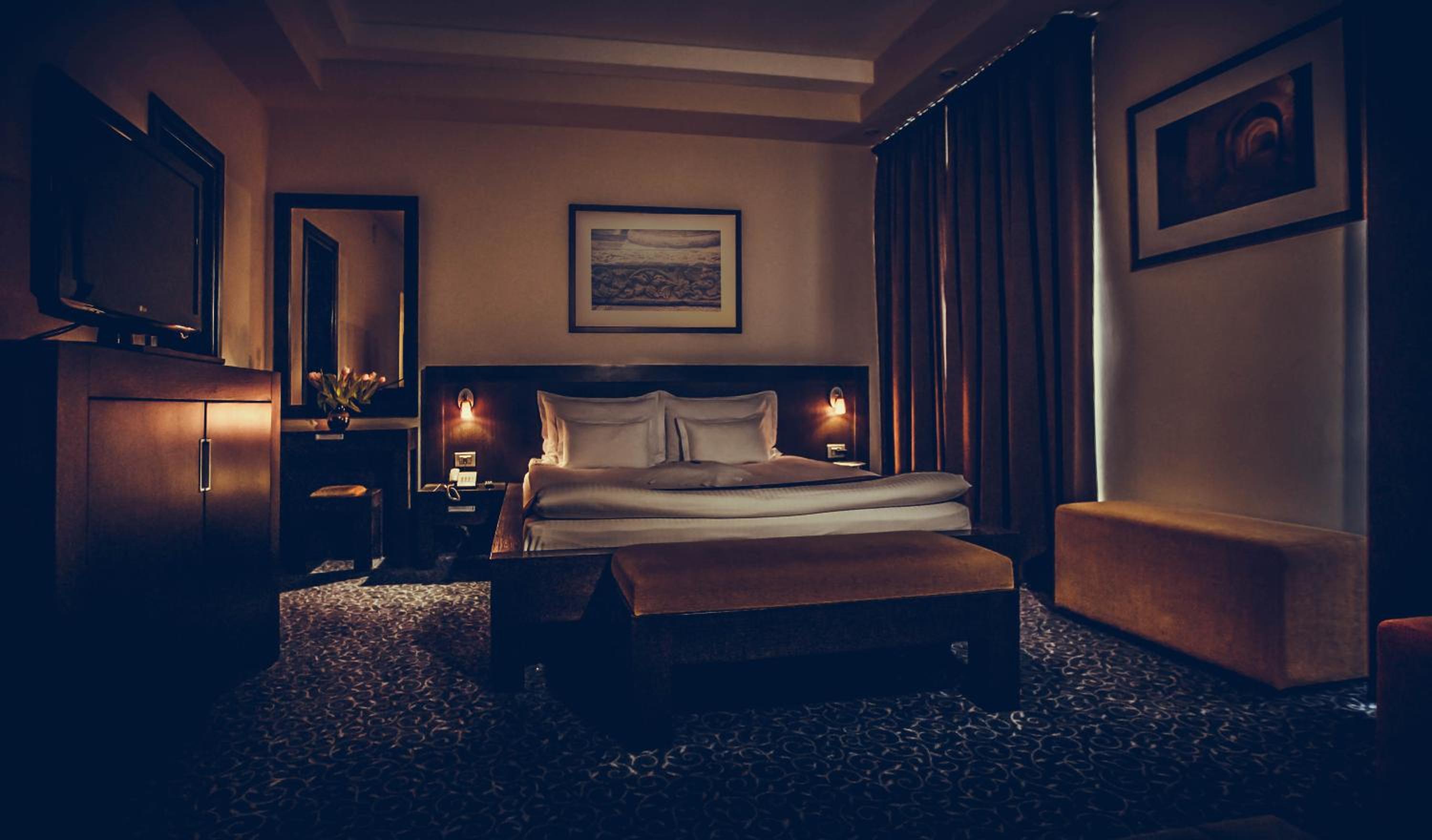 Premium Suite - Photo 14