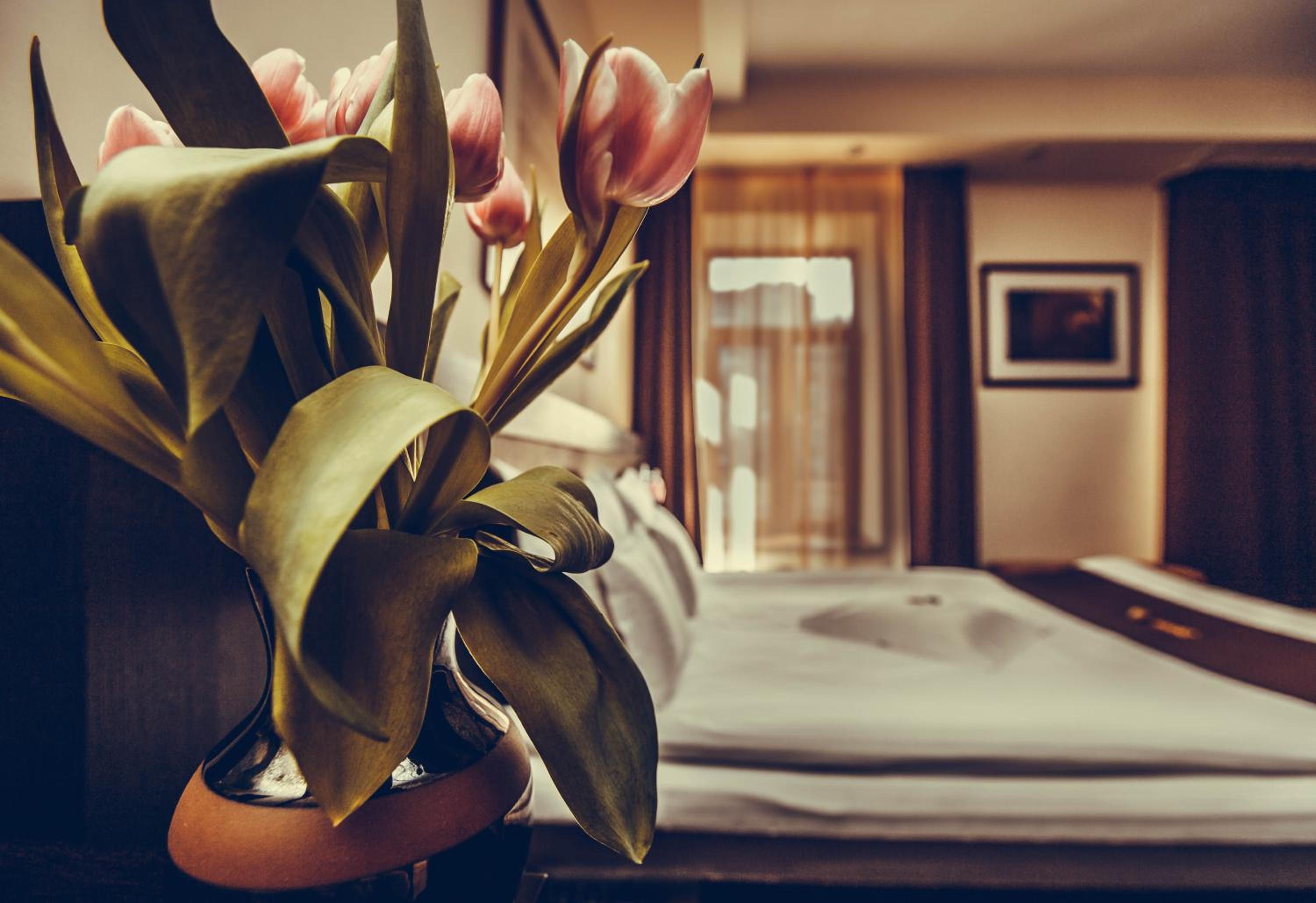 Premium Suite - Photo 15