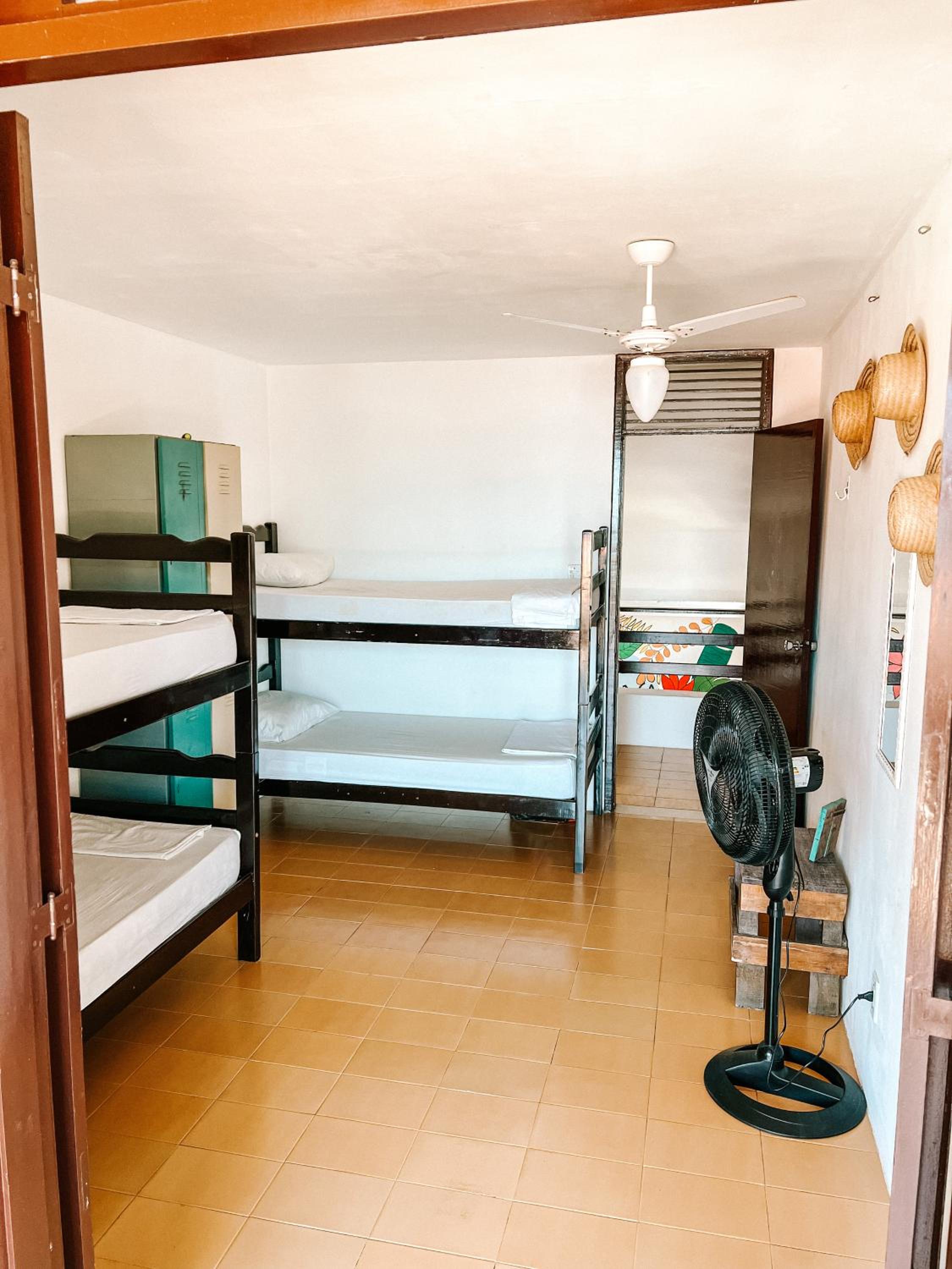 Bunk Bed in Mixed Dormitory Room