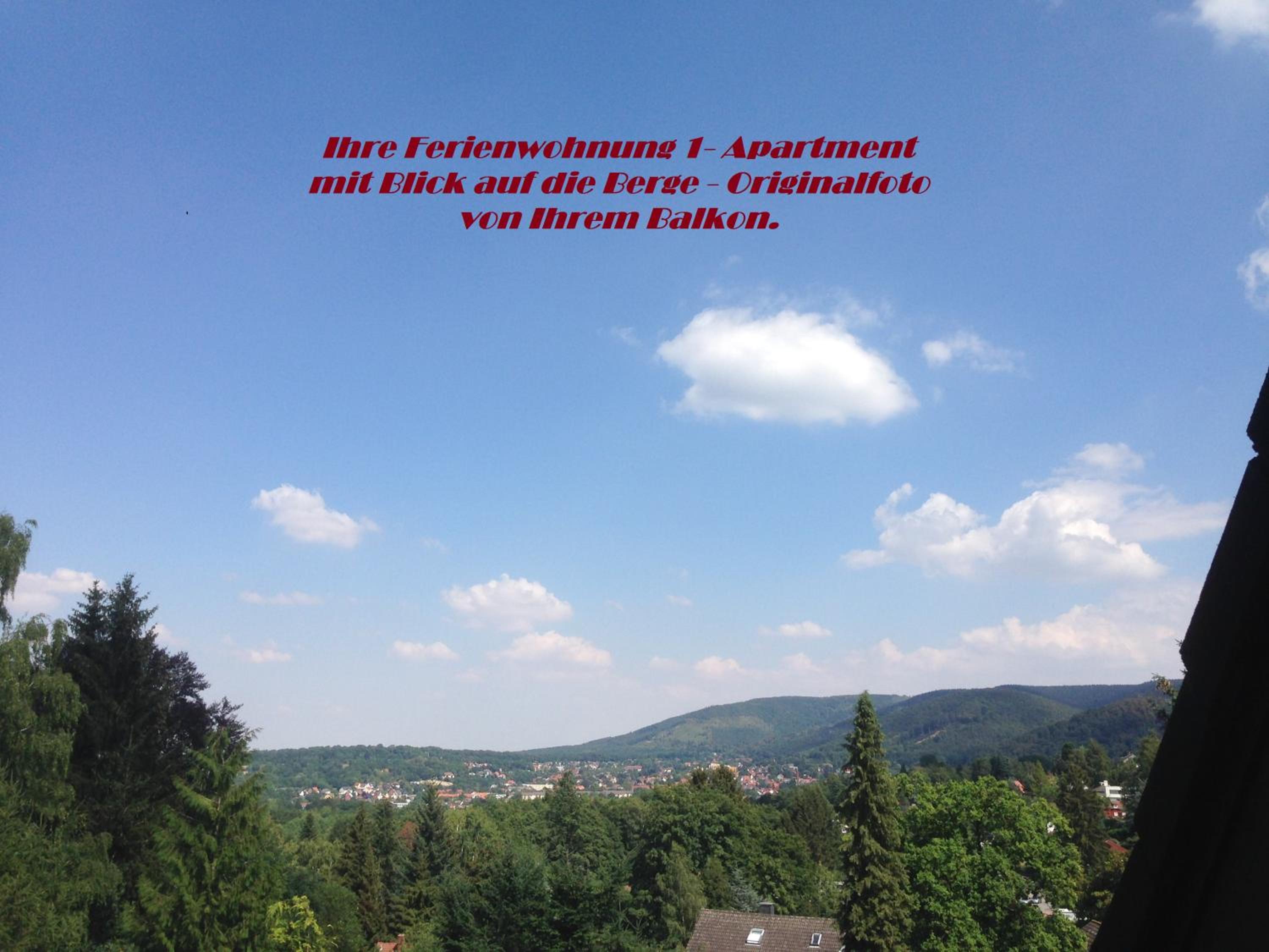 Apartment with Mountain View - Photo 23