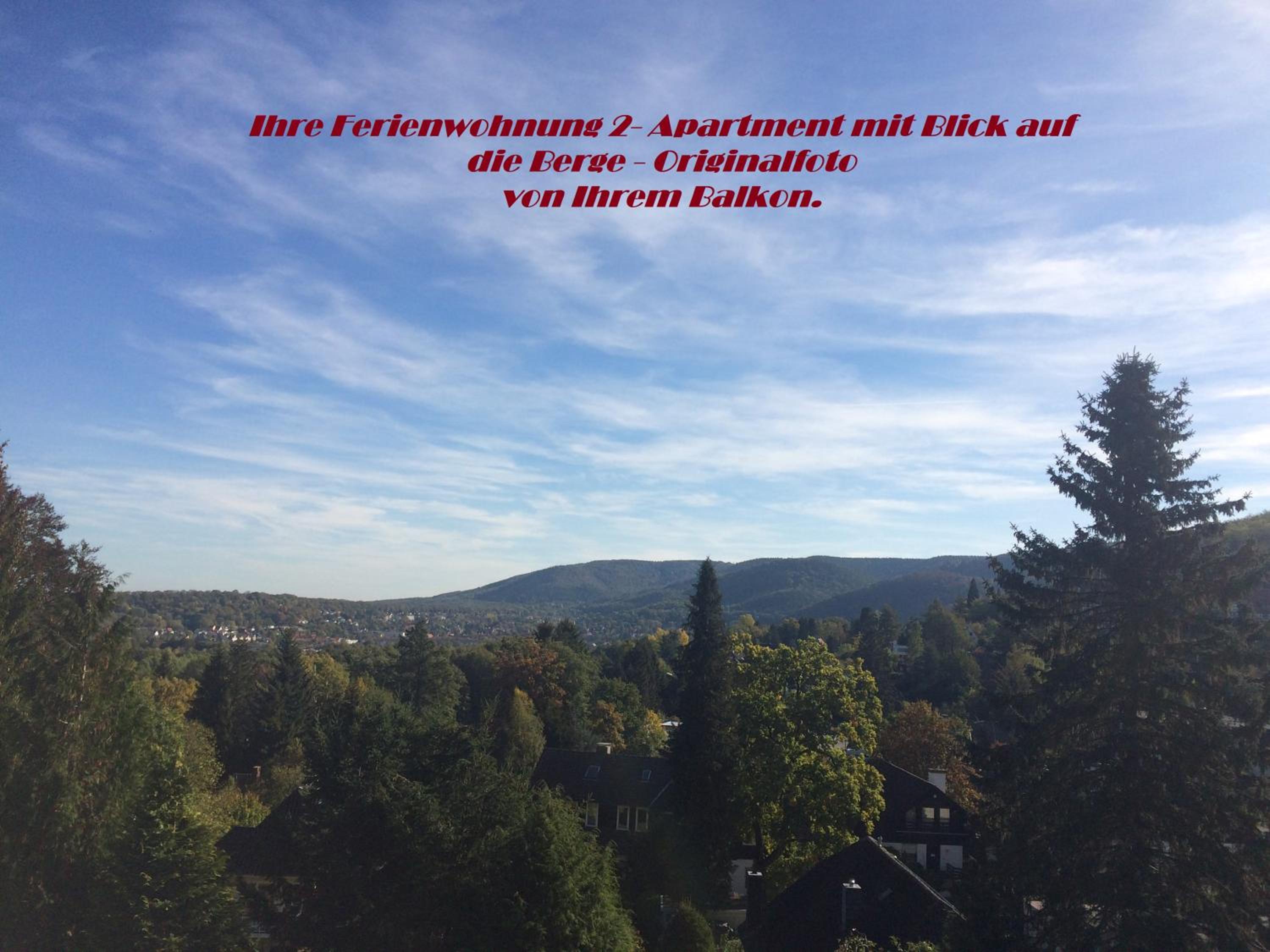 Apartment with Mountain View thumbnail 5