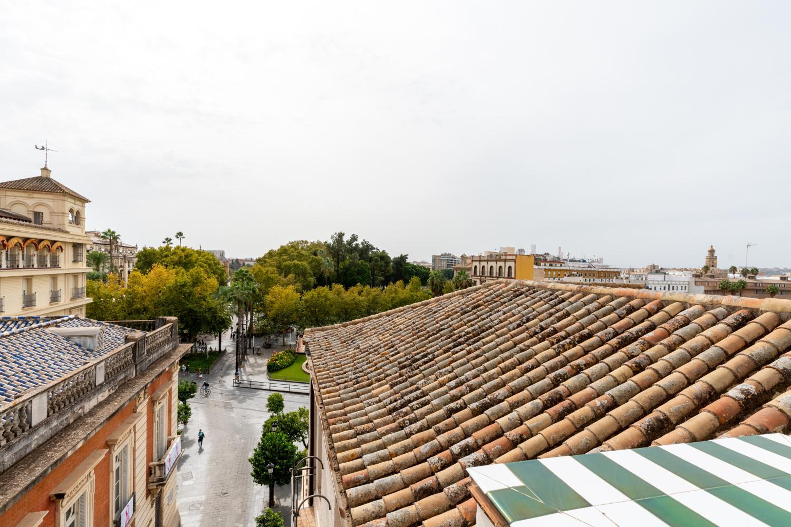 Duplex Penthouse with terrace - Photo 24