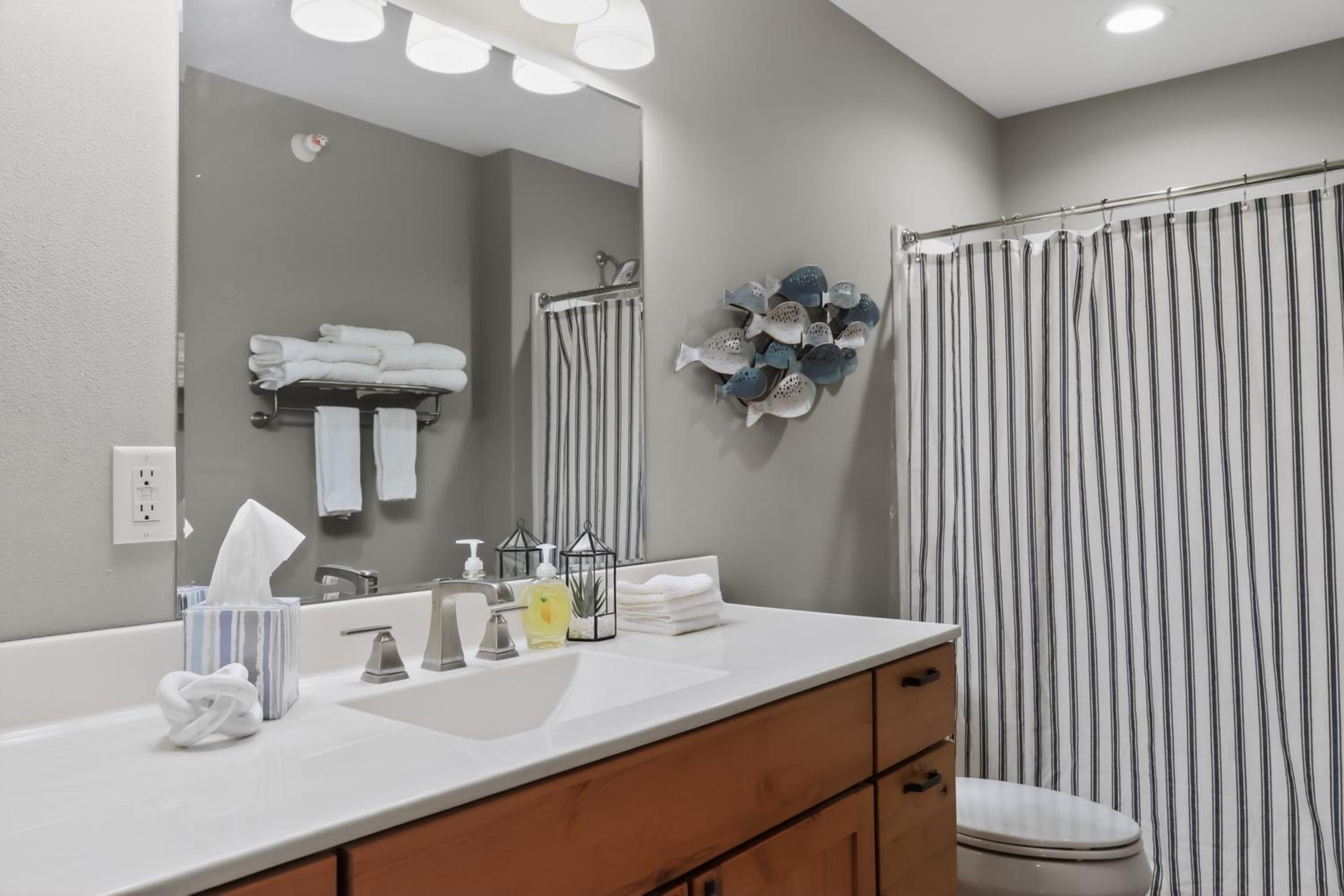 Suite photo 3