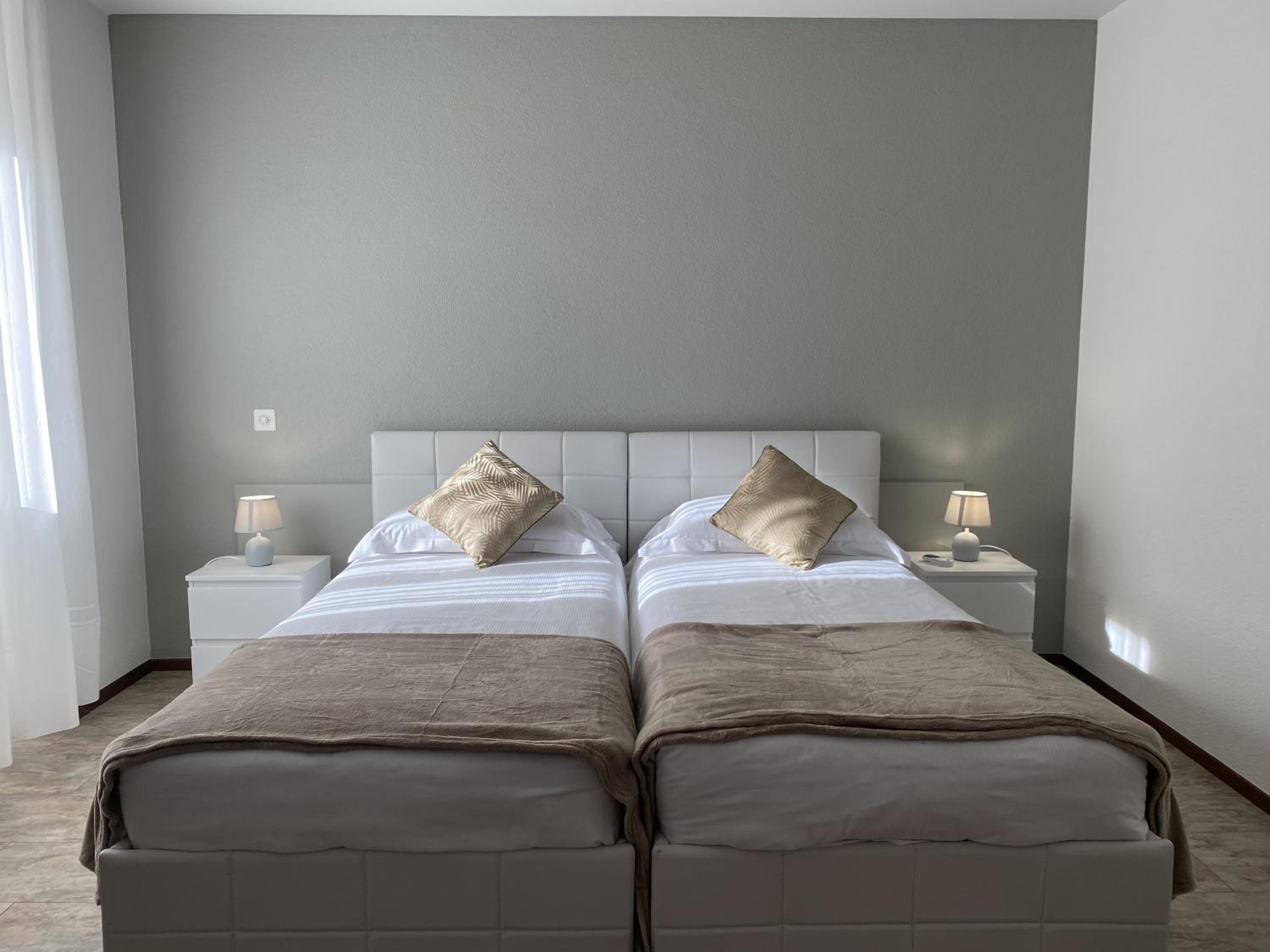 Deluxe Double or Twin Room with Mountain View photo 3